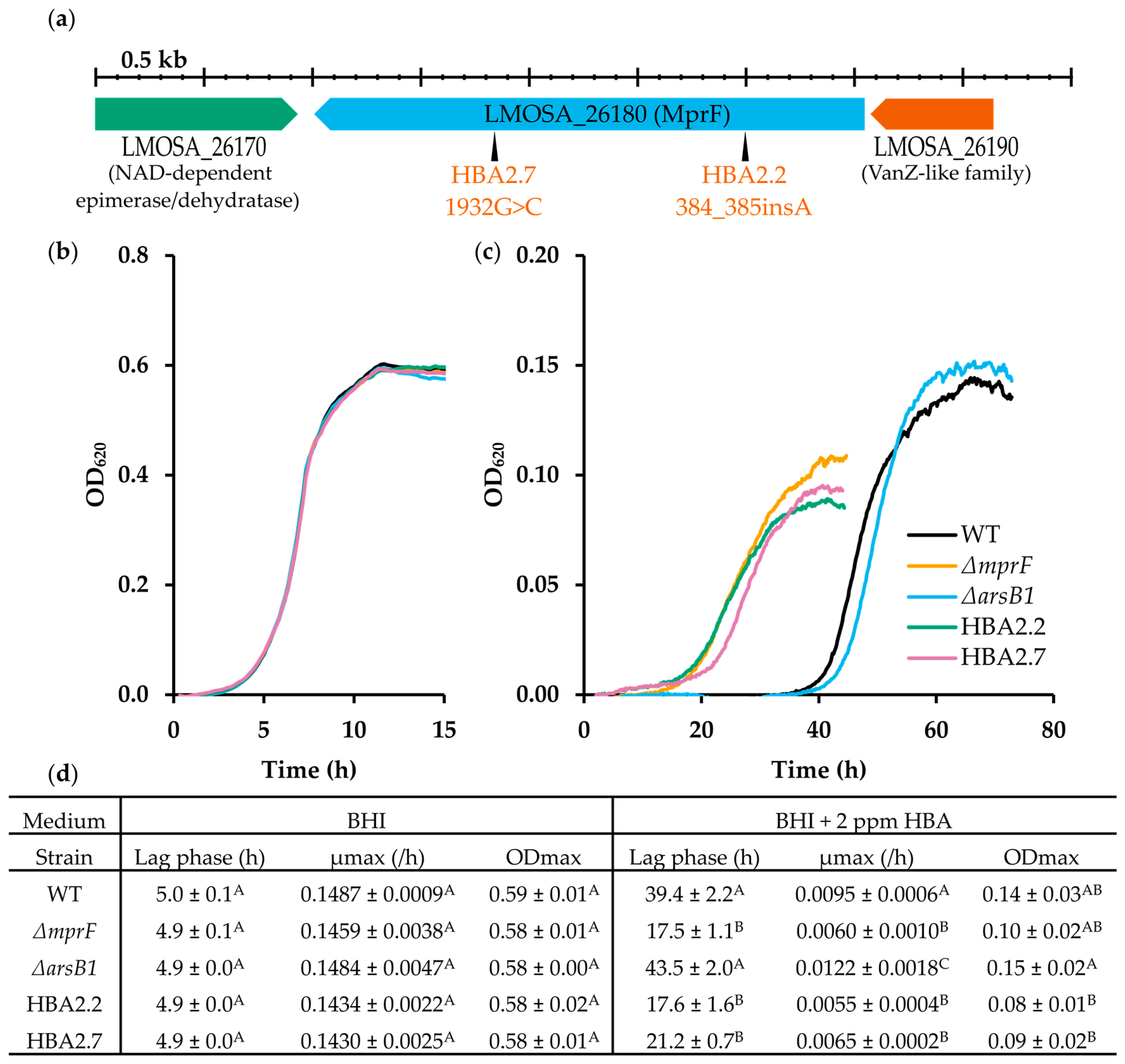 Microorganisms 11 02024 g003 Microorganisms 11 02024 g003