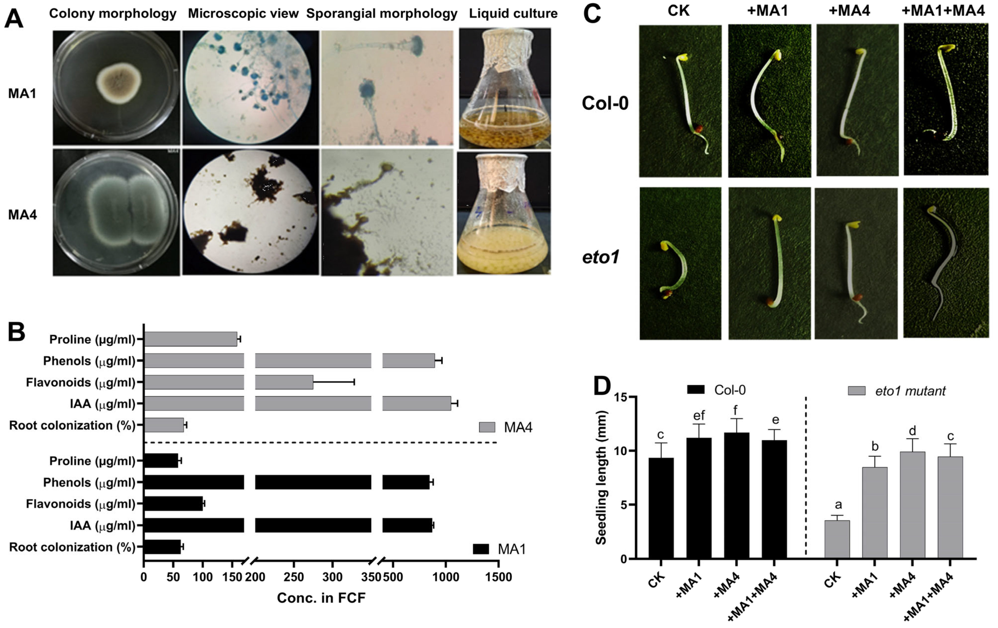 Microorganisms 11 02025 g001