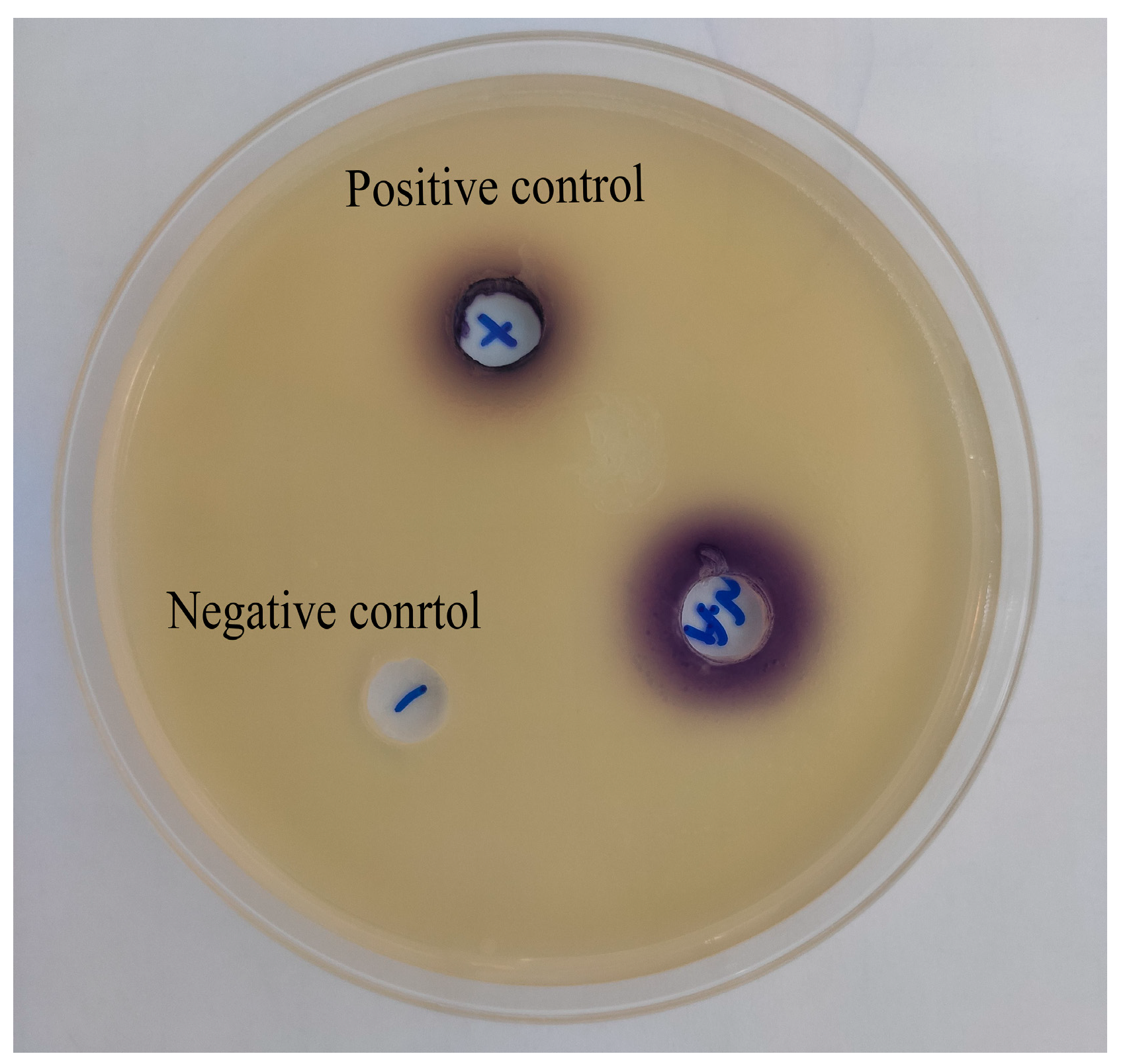 Microorganisms 11 02027 g003 Microorganisms 11 02027 g003