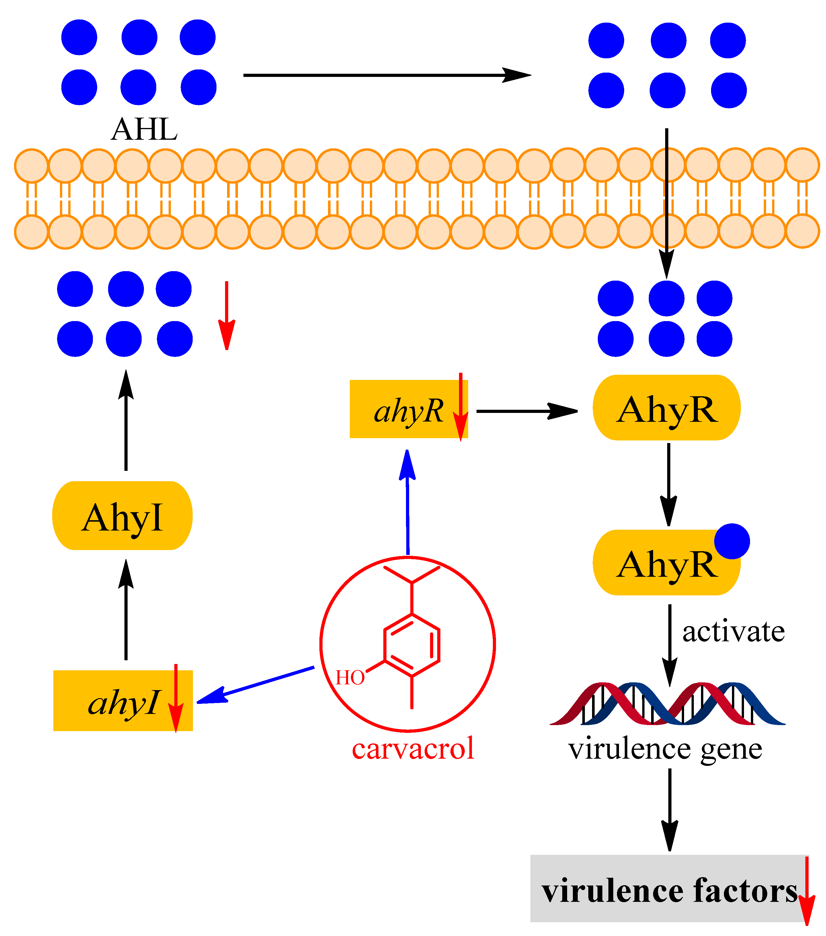 Microorganisms 11 02027 g008 Microorganisms 11 02027 g008