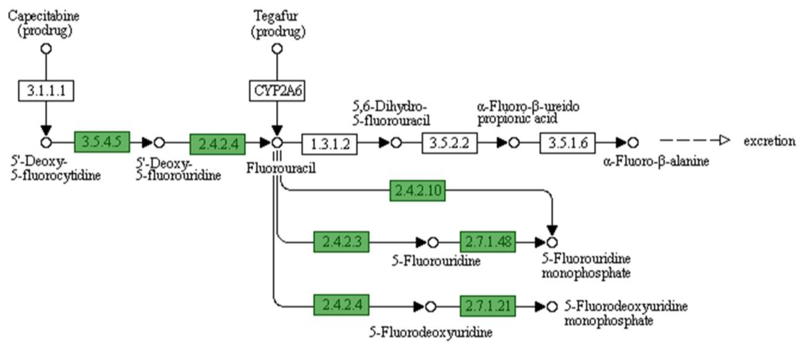 Microorganisms 11 02030 g005 Microorganisms 11 02030 g005