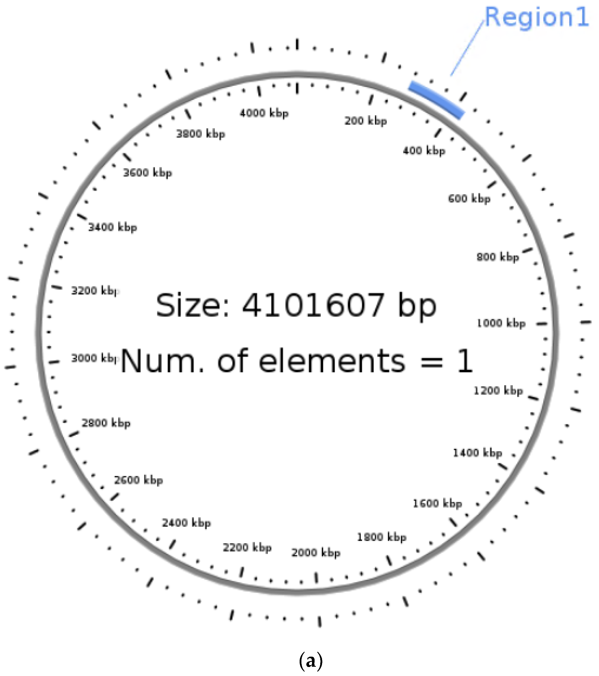 Microorganisms 11 02030 g007a Microorganisms 11 02030 g007a