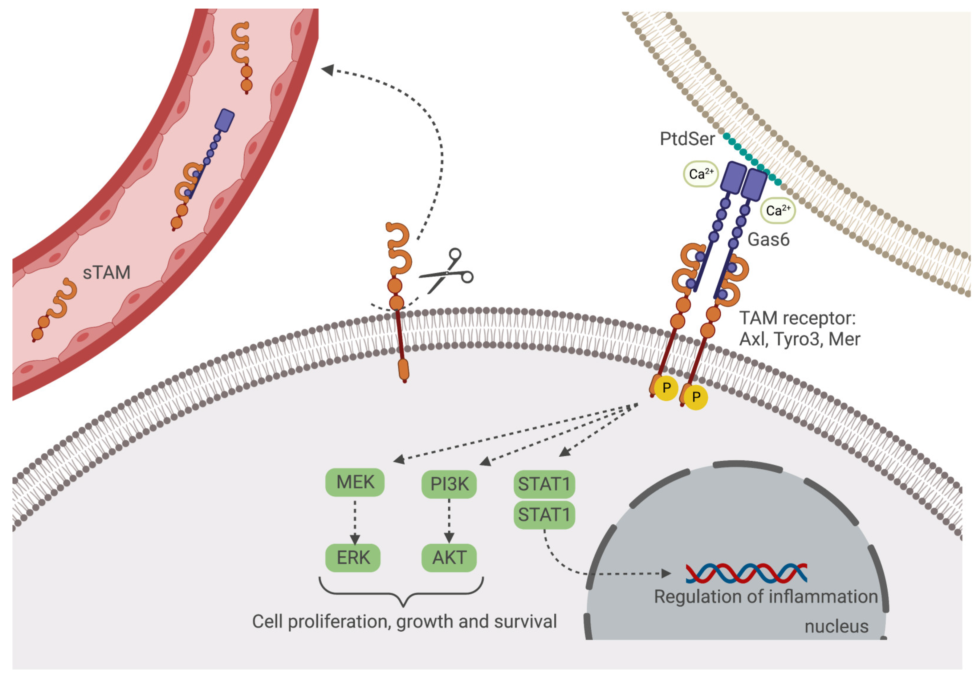 Microorganisms 11 02038 g001 Microorganisms 11 02038 g001