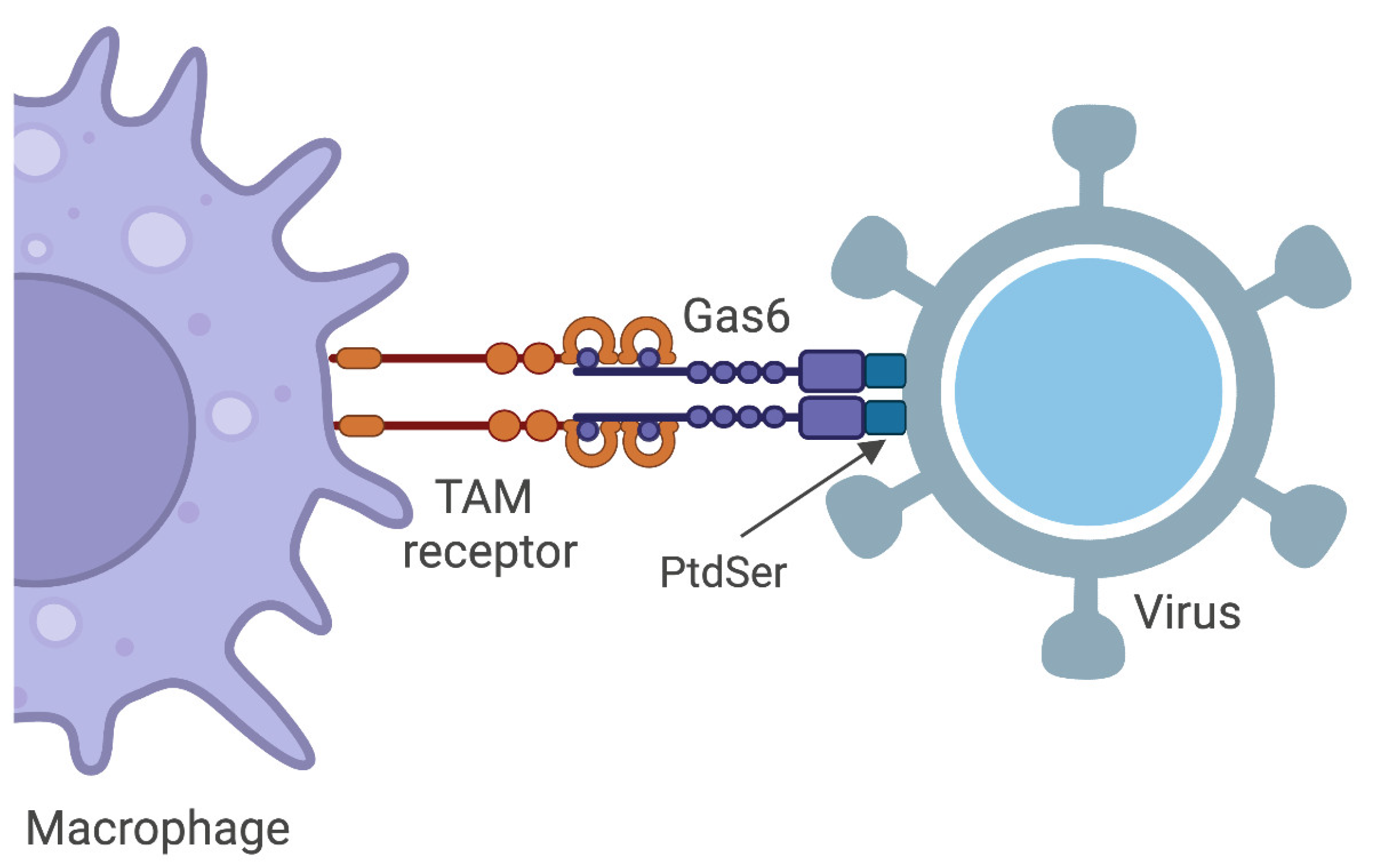 Microorganisms 11 02038 g002 Microorganisms 11 02038 g002