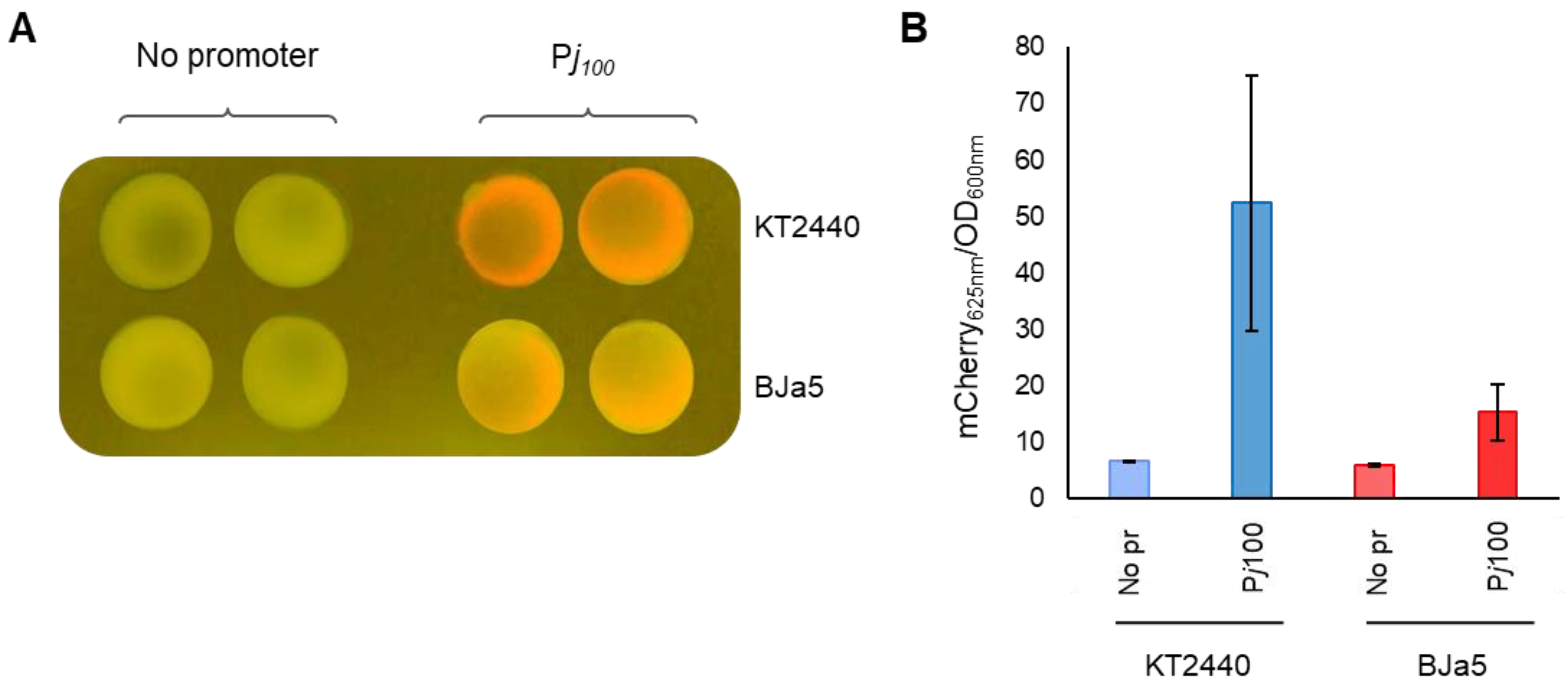 Microorganisms 11 02044 g005 Microorganisms 11 02044 g005