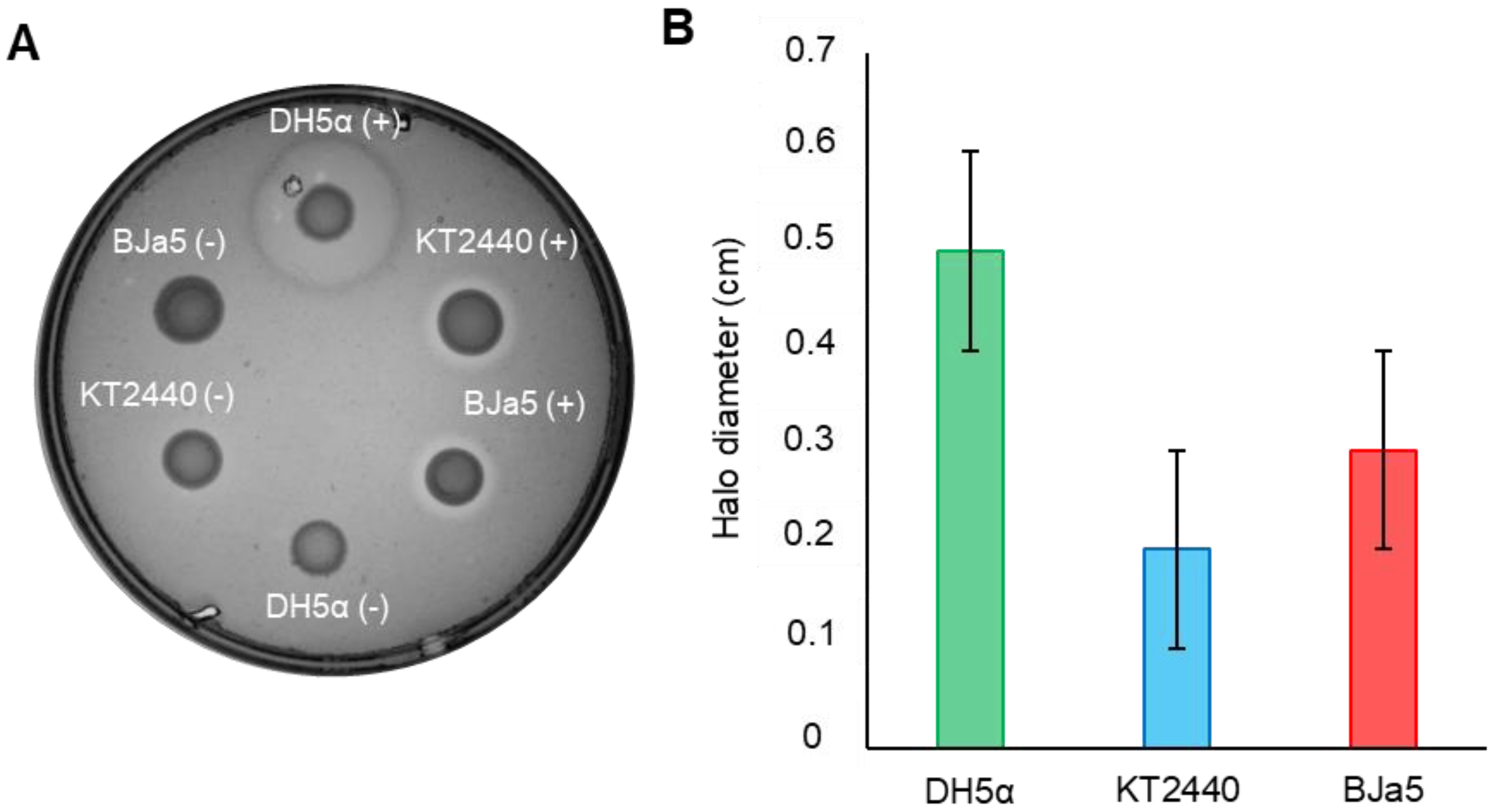 Microorganisms 11 02044 g006 Microorganisms 11 02044 g006