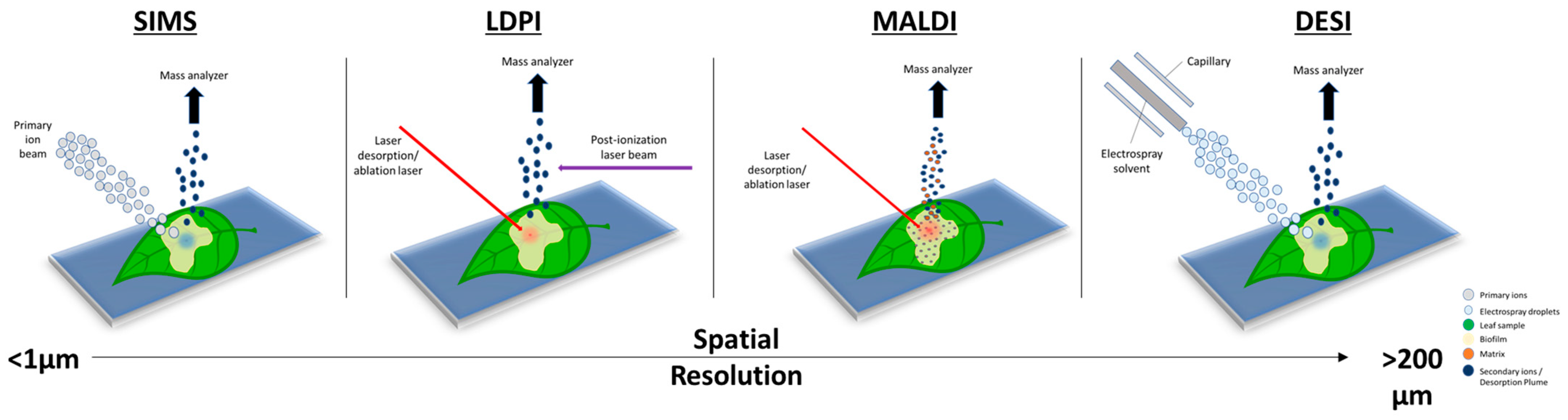 Microorganisms 11 02045 g001 Microorganisms 11 02045 g001