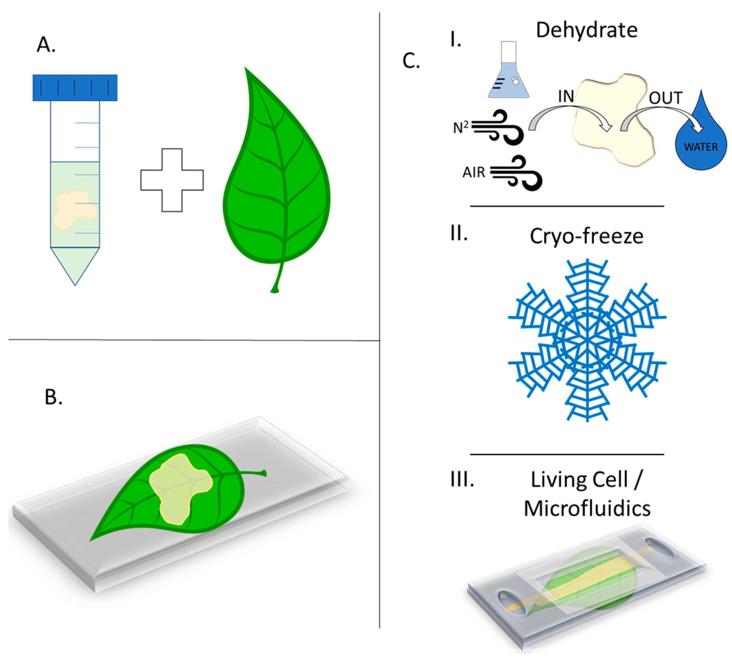 Microorganisms 11 02045 g003 Microorganisms 11 02045 g003