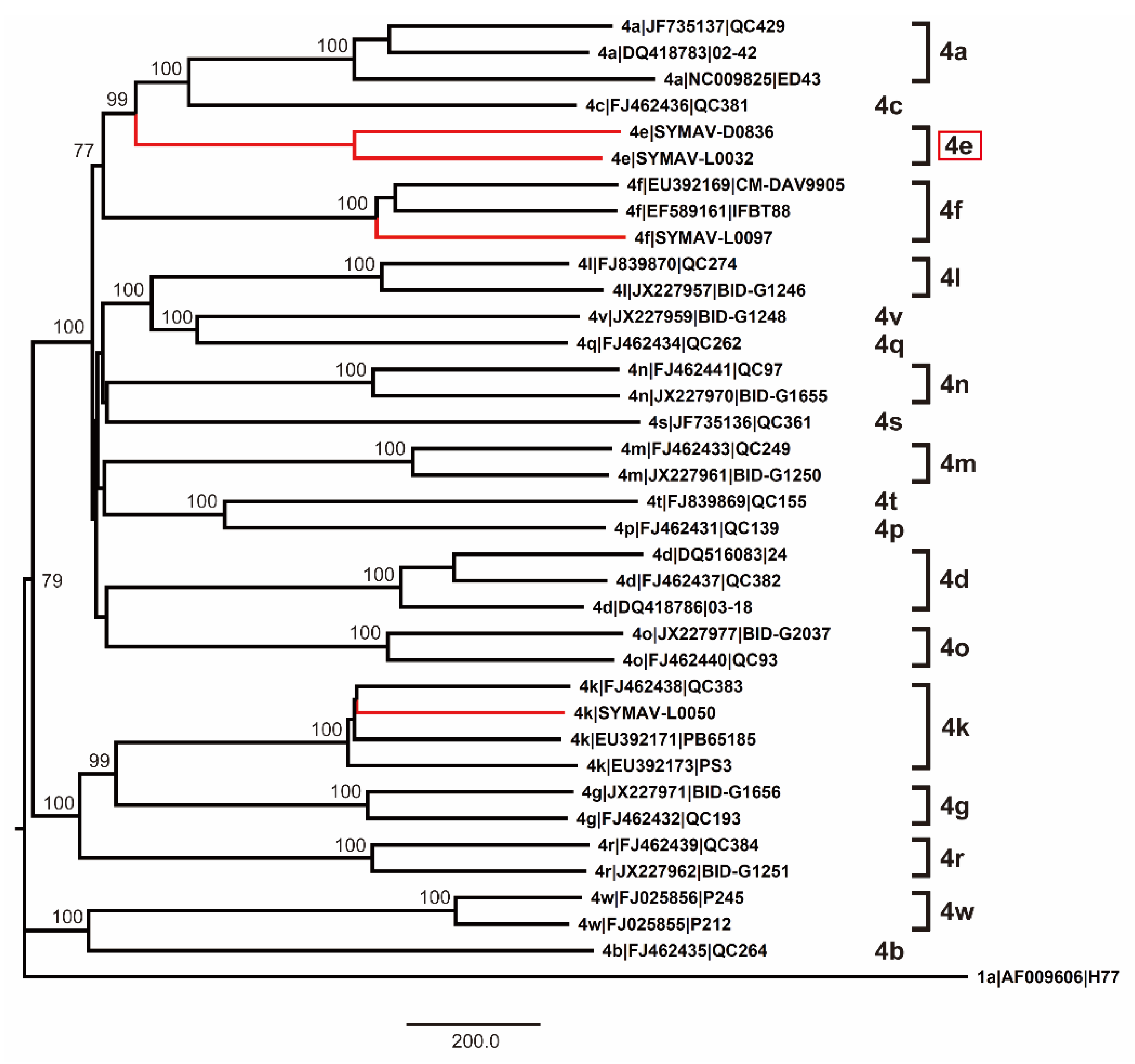 Microorganisms 11 02046 g004