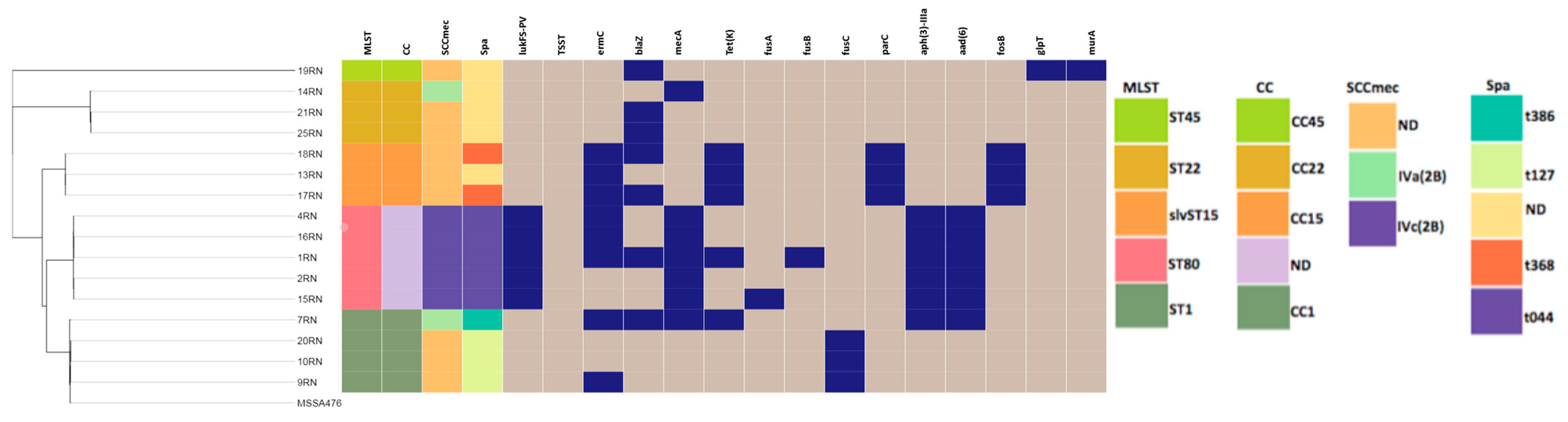 Microorganisms 11 02047 g001 Microorganisms 11 02047 g001