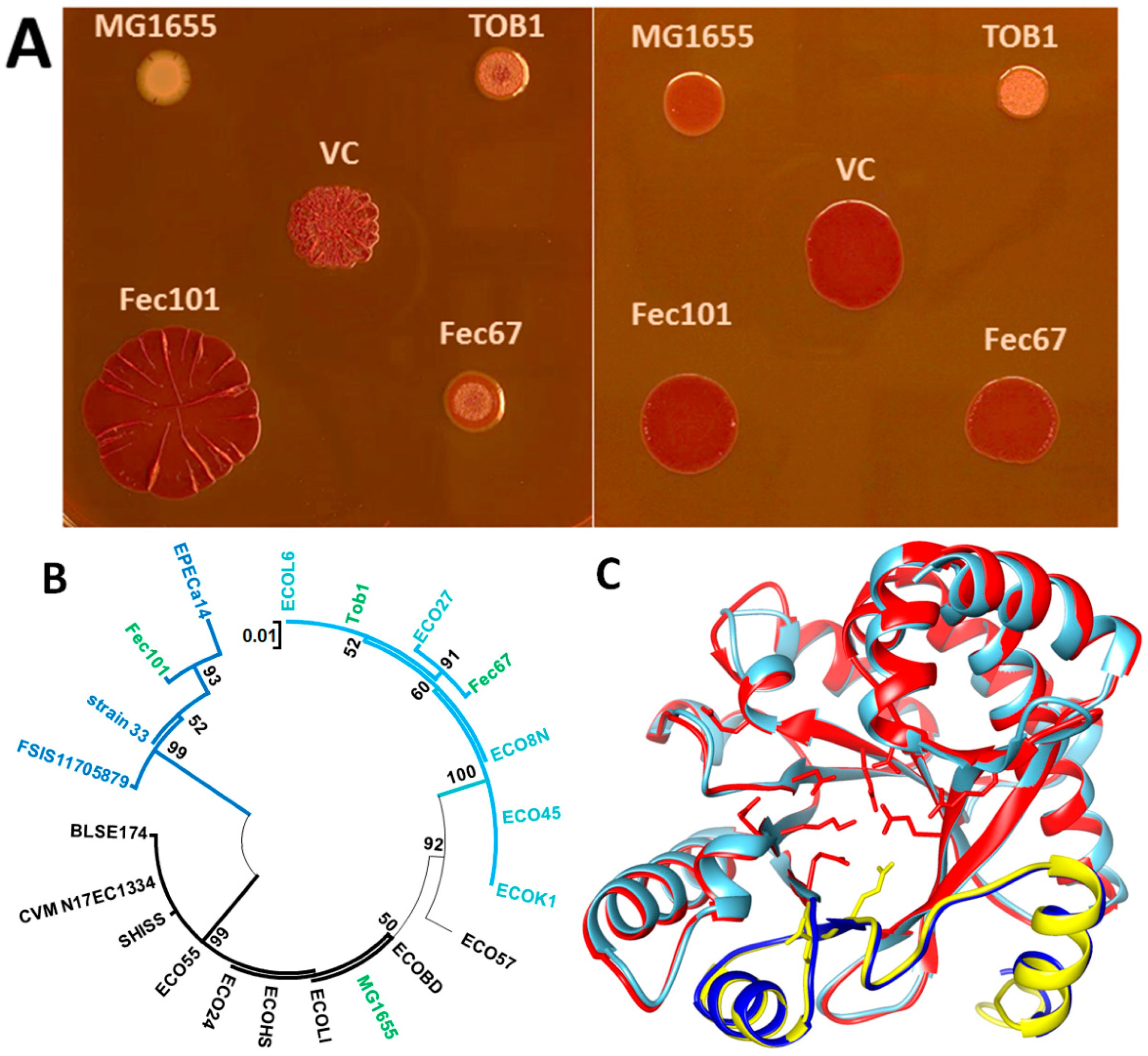 Microorganisms 11 02048 g003
