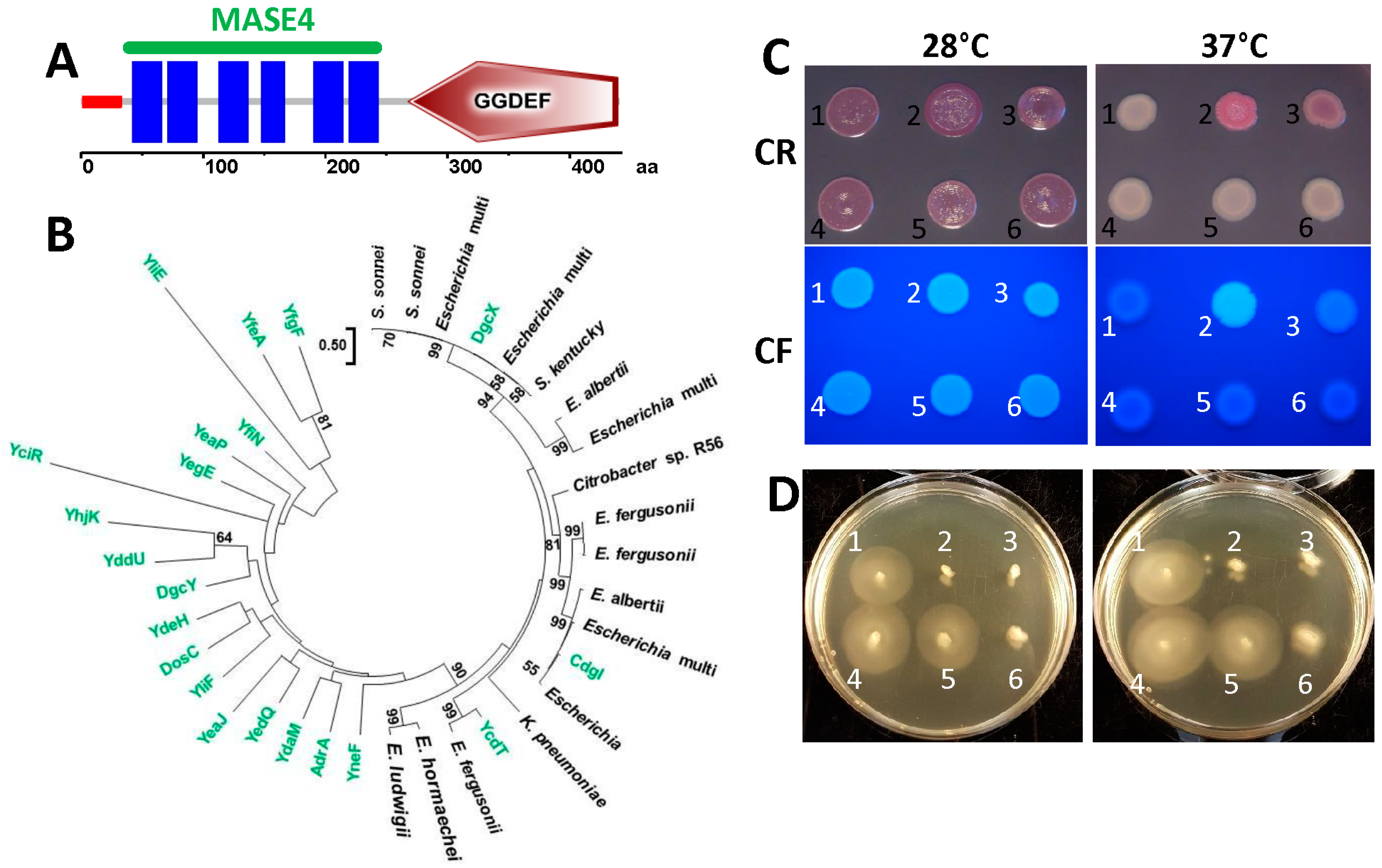 Microorganisms 11 02048 g004