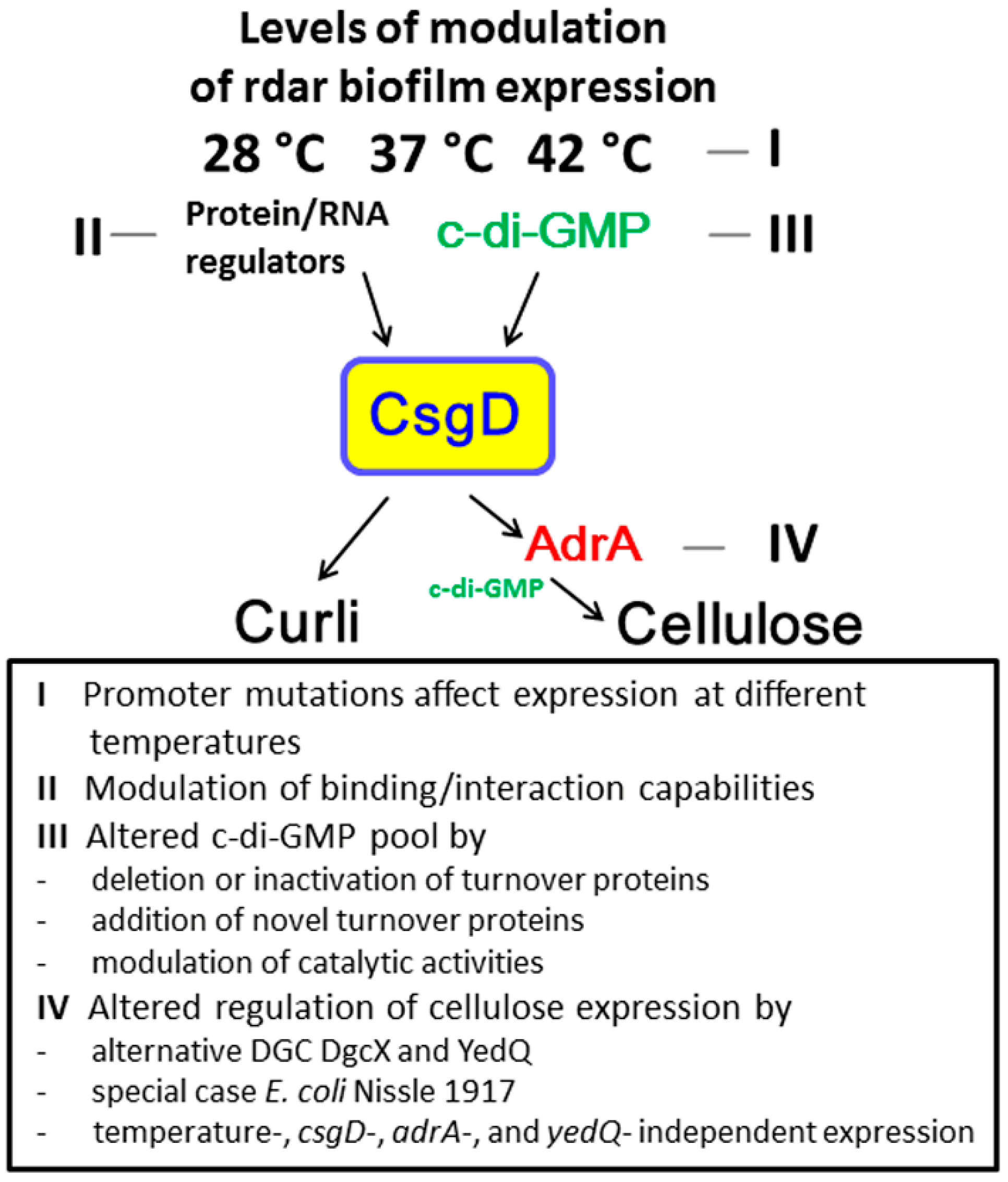Microorganisms 11 02048 g006