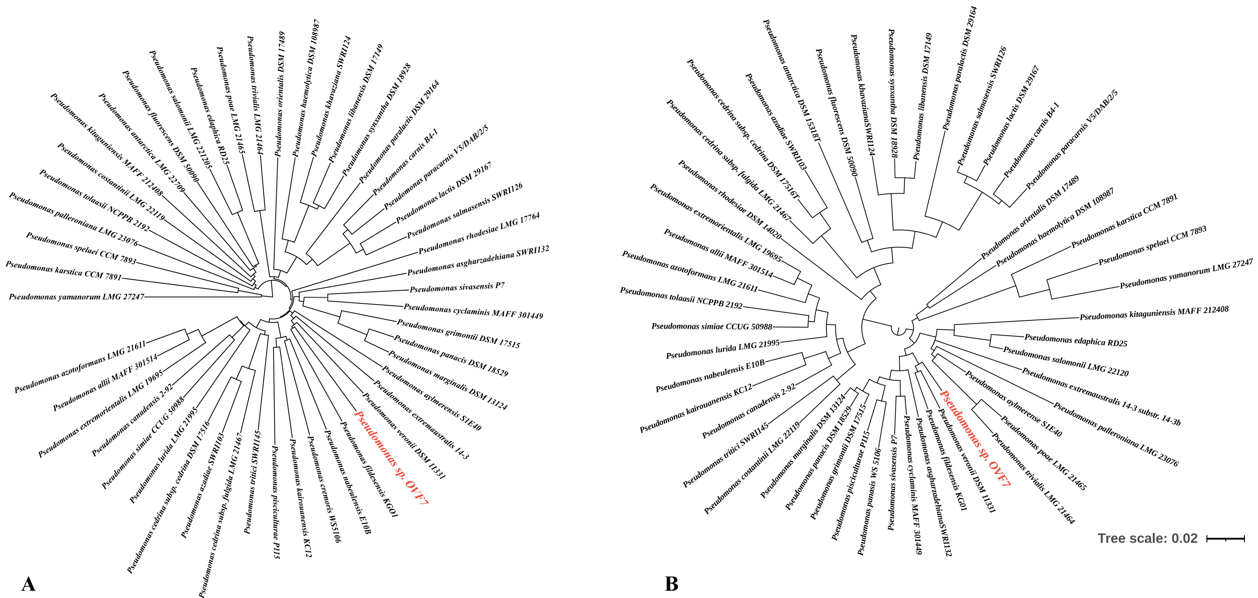 Microorganisms 11 02058 g001