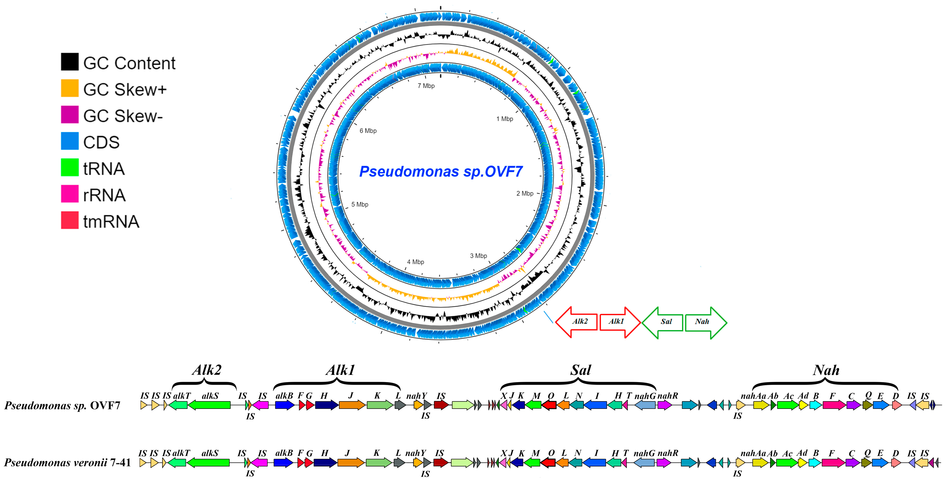 Microorganisms 11 02058 g002