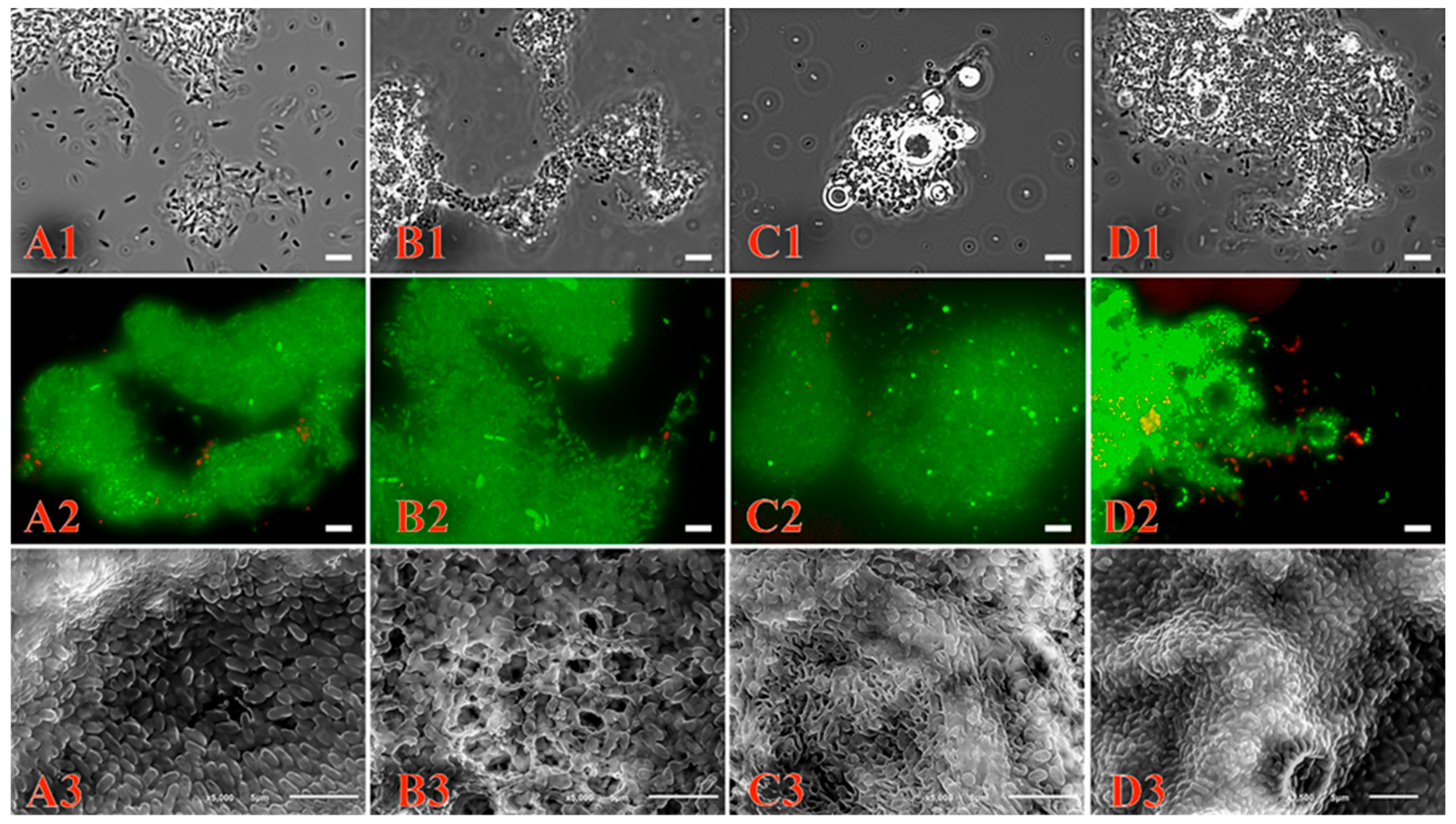 Microorganisms 11 02058 g004