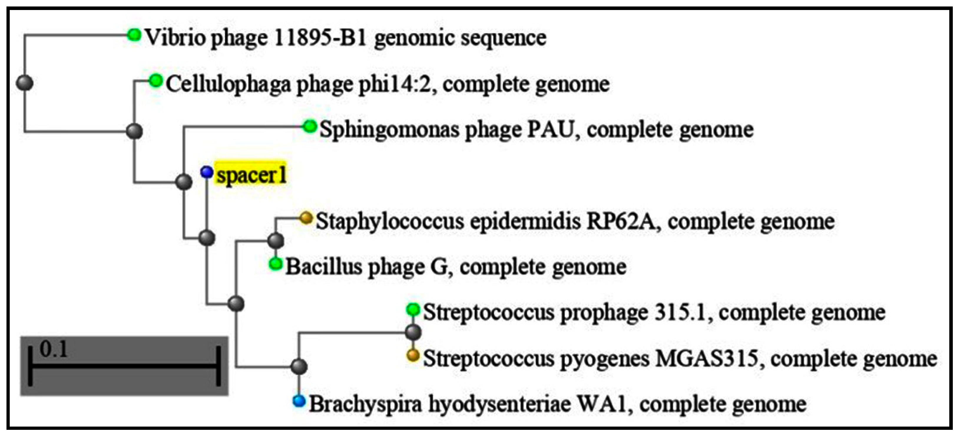 Microorganisms 11 02060 g001 Microorganisms 11 02060 g001
