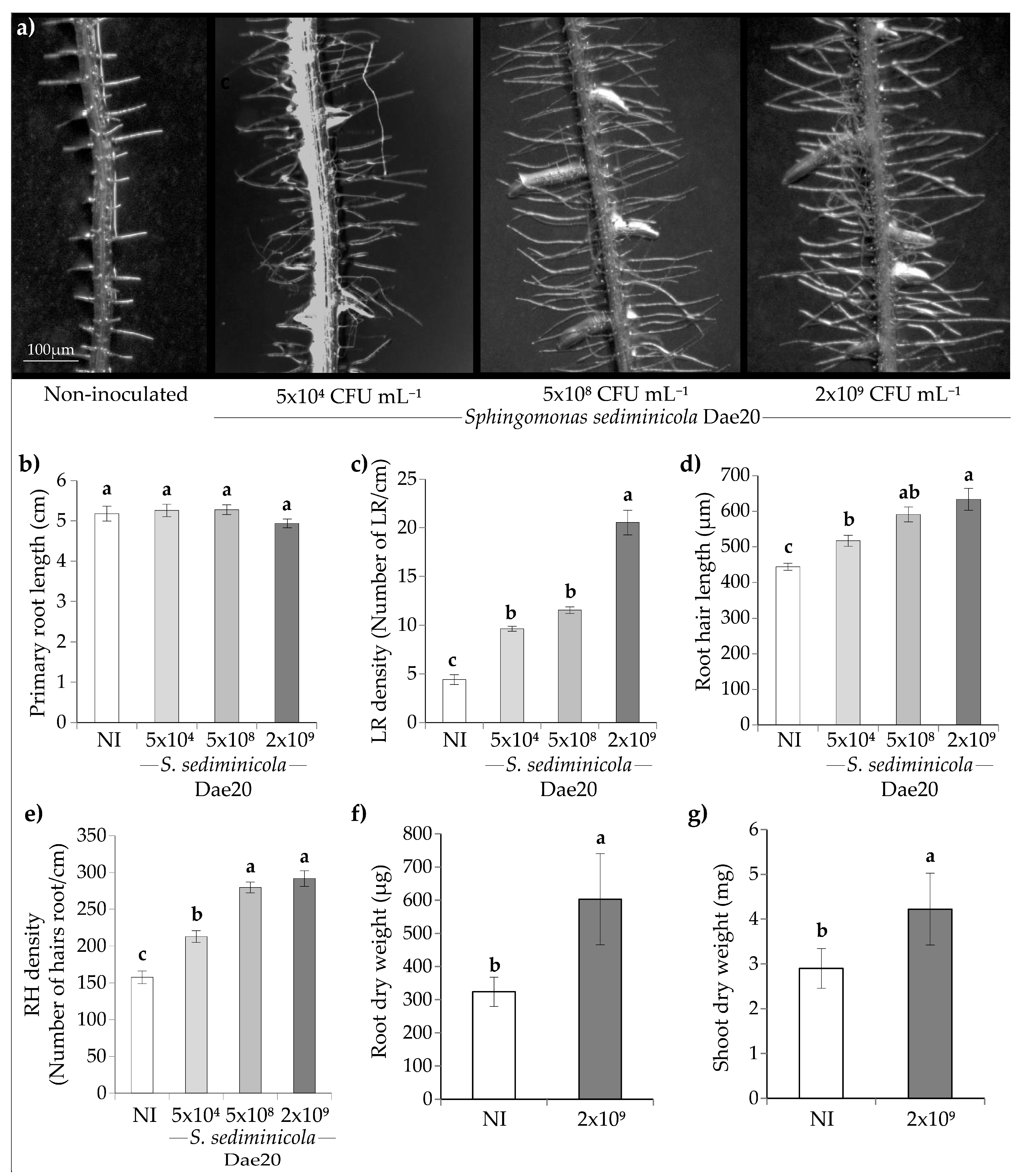 Microorganisms 11 02061 g001