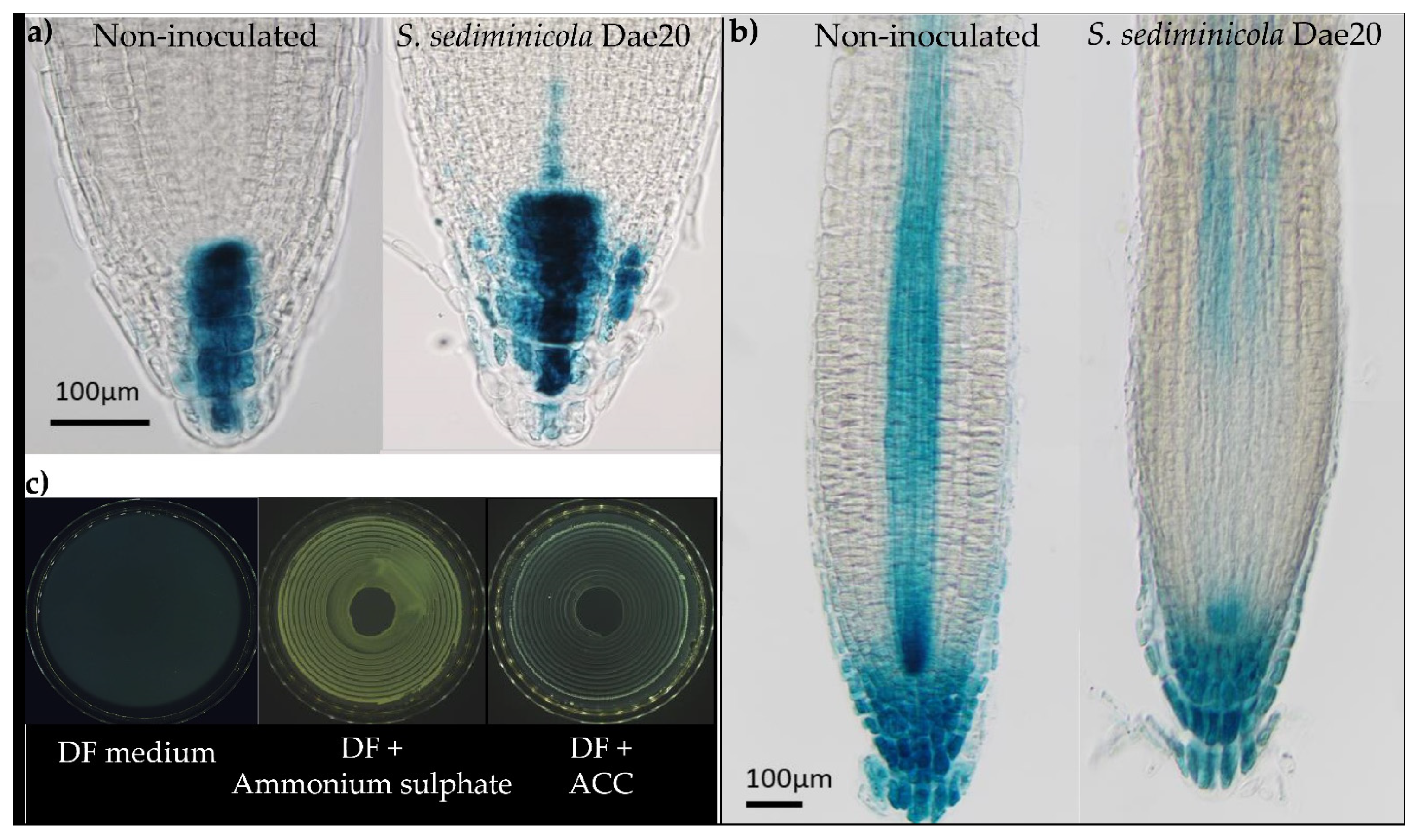 Microorganisms 11 02061 g003