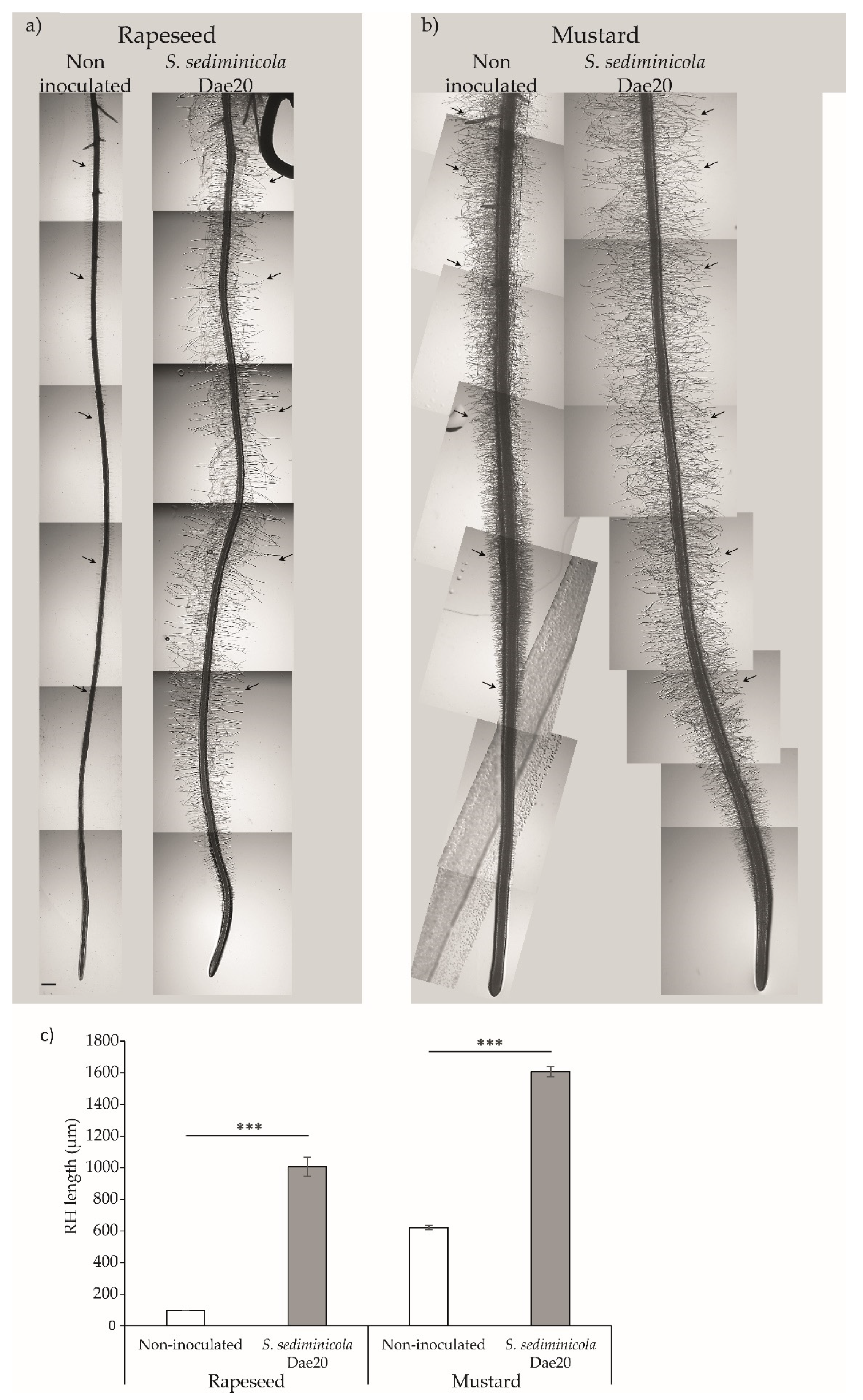 Microorganisms 11 02061 g005
