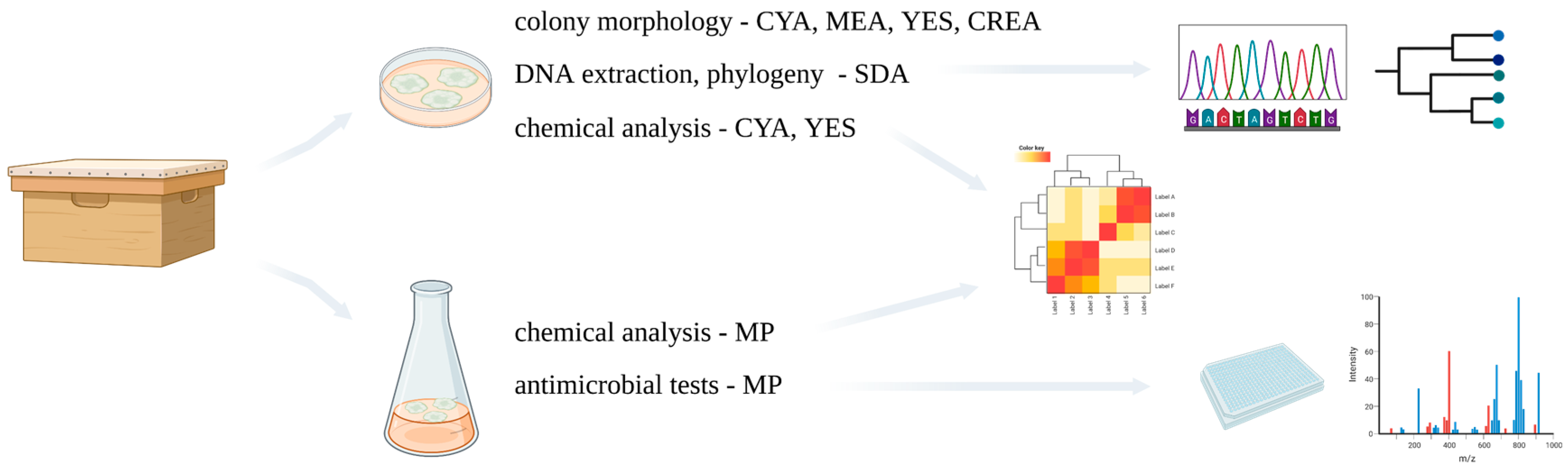 Microorganisms 11 02067 g001 Microorganisms 11 02067 g001