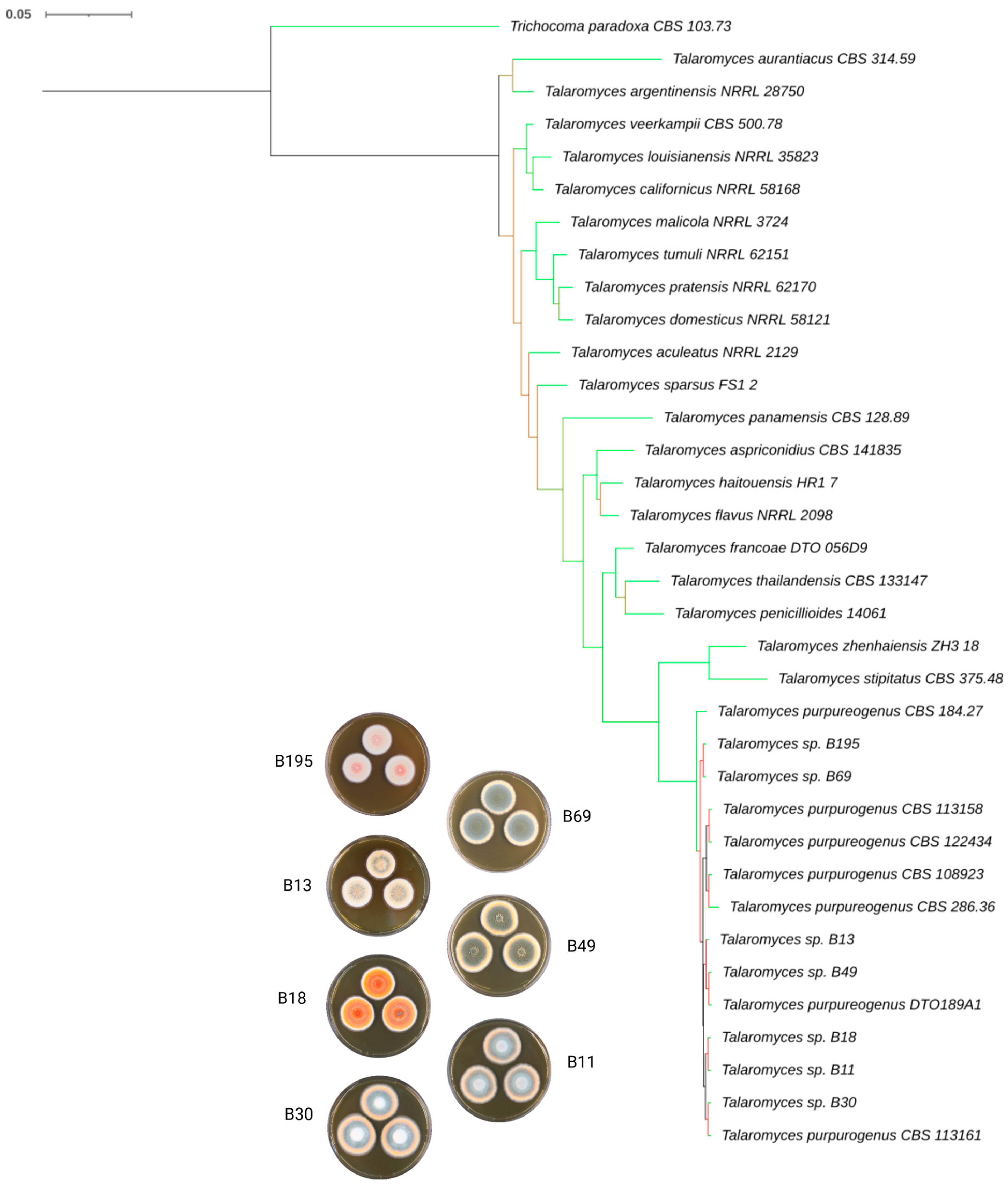 Microorganisms 11 02067 g003 Microorganisms 11 02067 g003