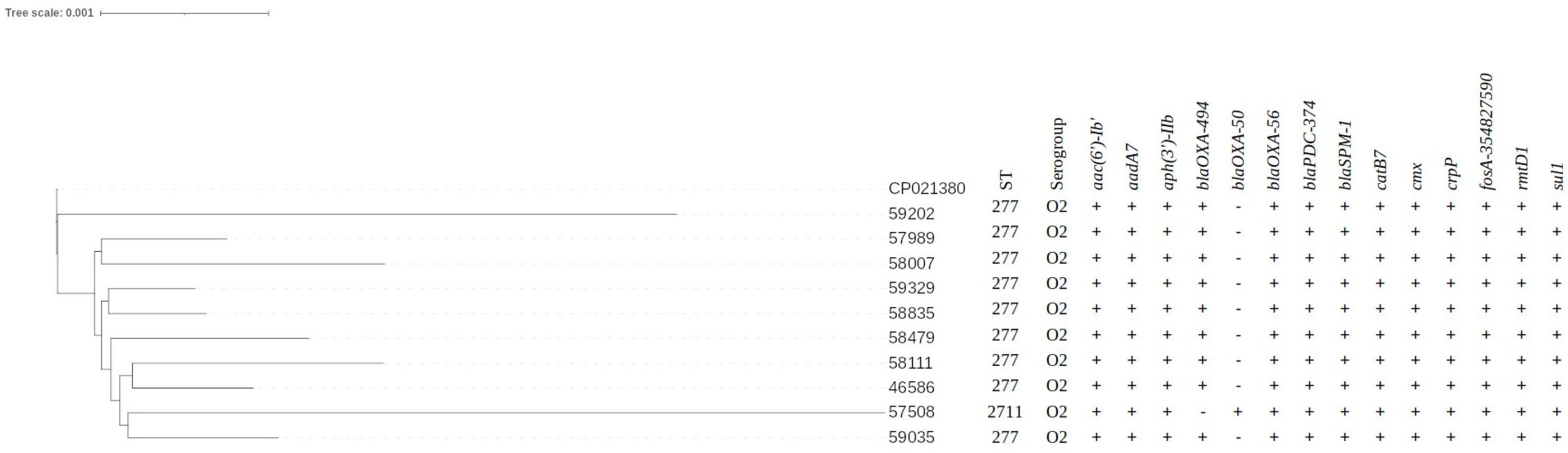 Microorganisms 11 02069 g001