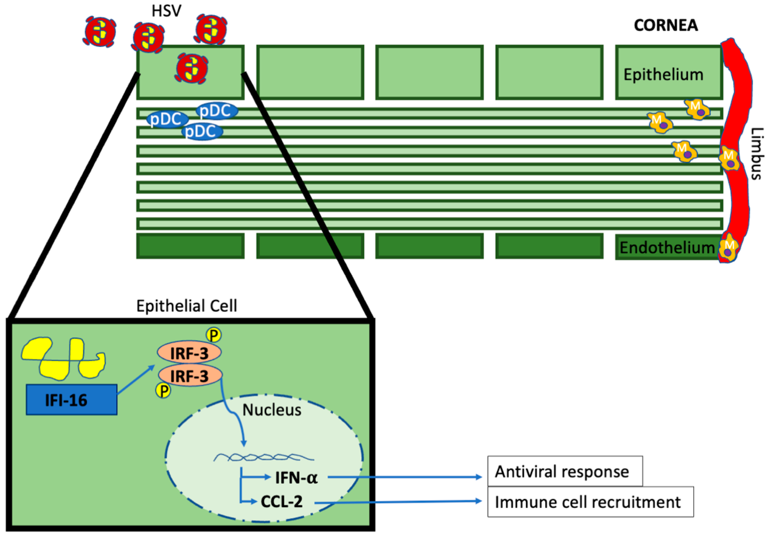 Microorganisms 11 02074 g001 Microorganisms 11 02074 g001