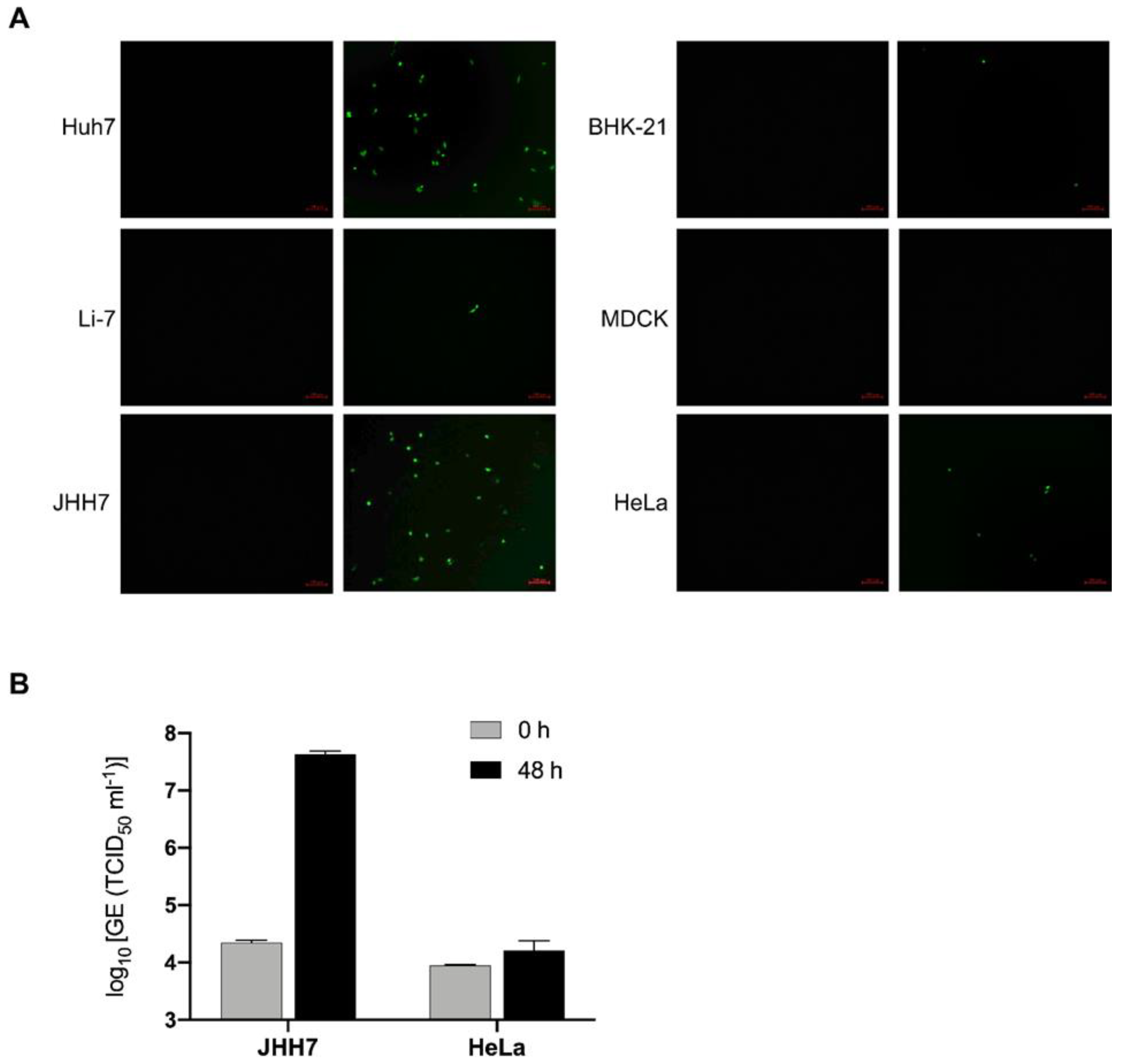 Microorganisms 11 02075 g002 Microorganisms 11 02075 g002