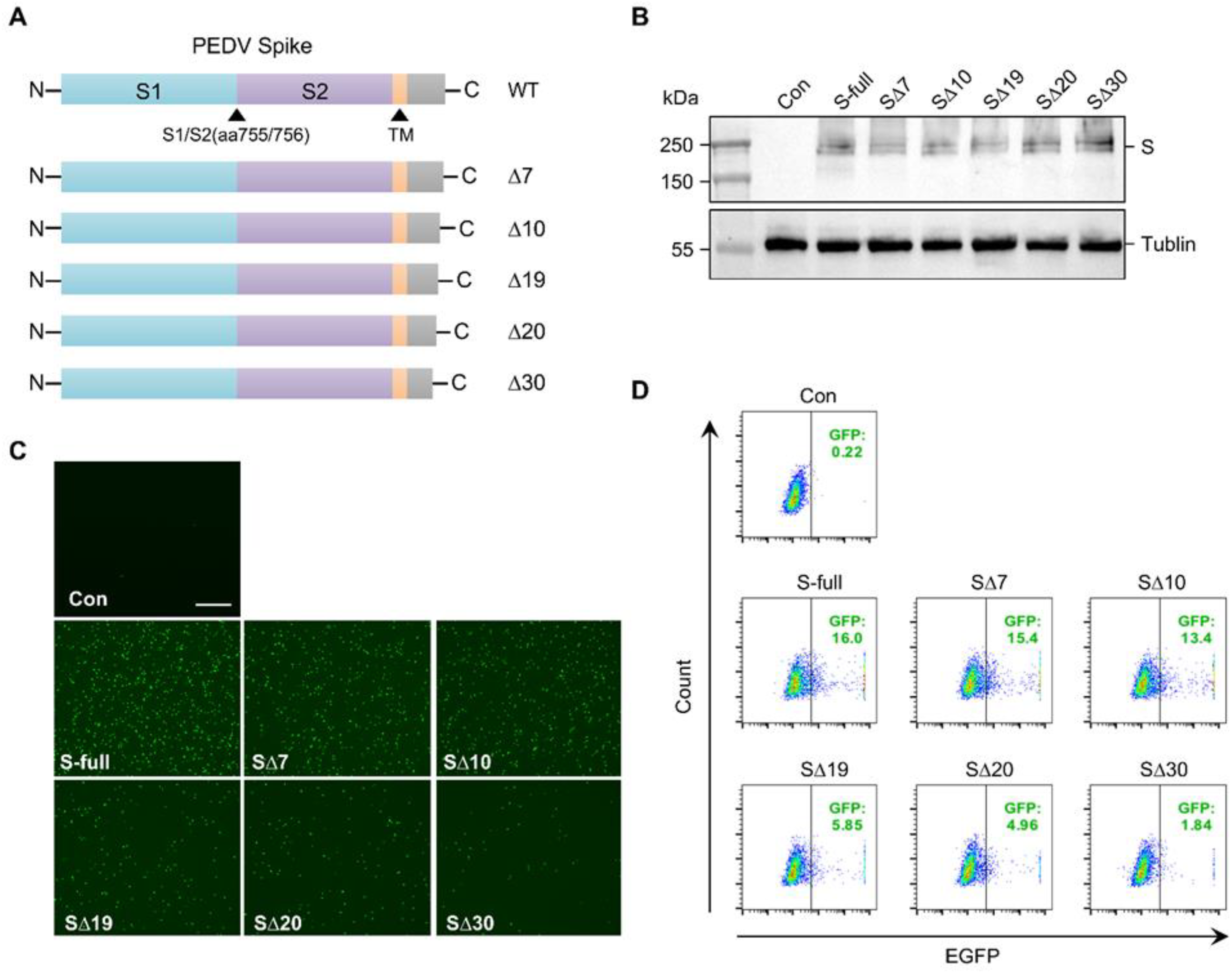 Microorganisms 11 02075 g003 Microorganisms 11 02075 g003