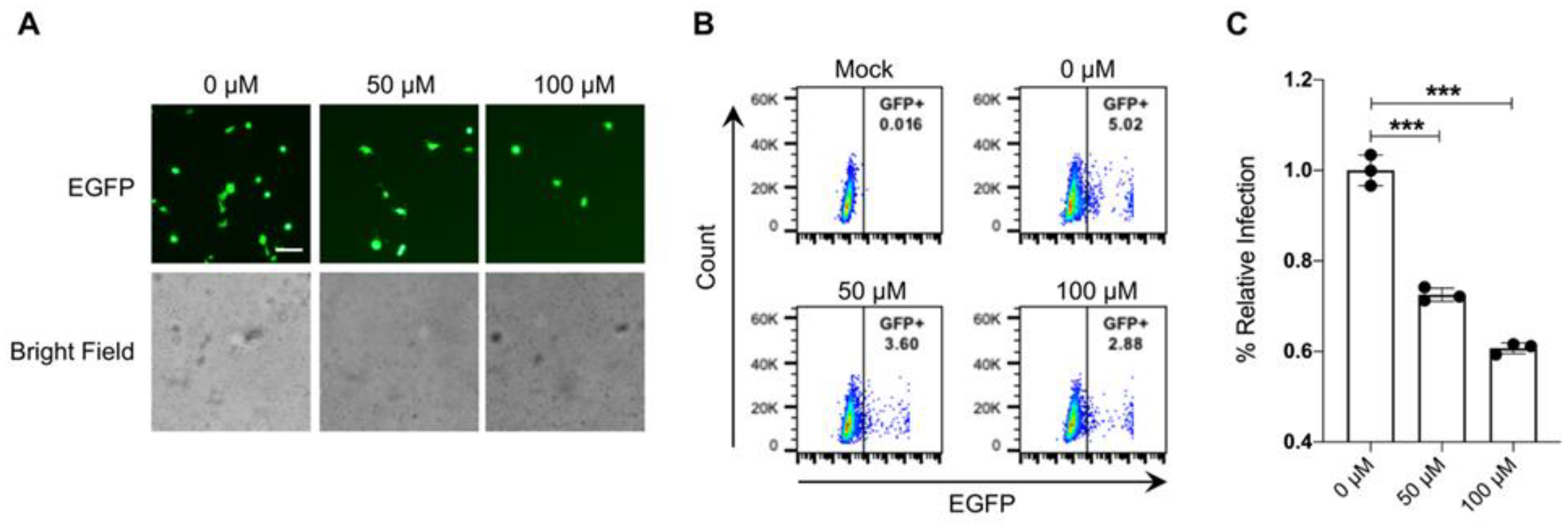 Microorganisms 11 02075 g004 Microorganisms 11 02075 g004