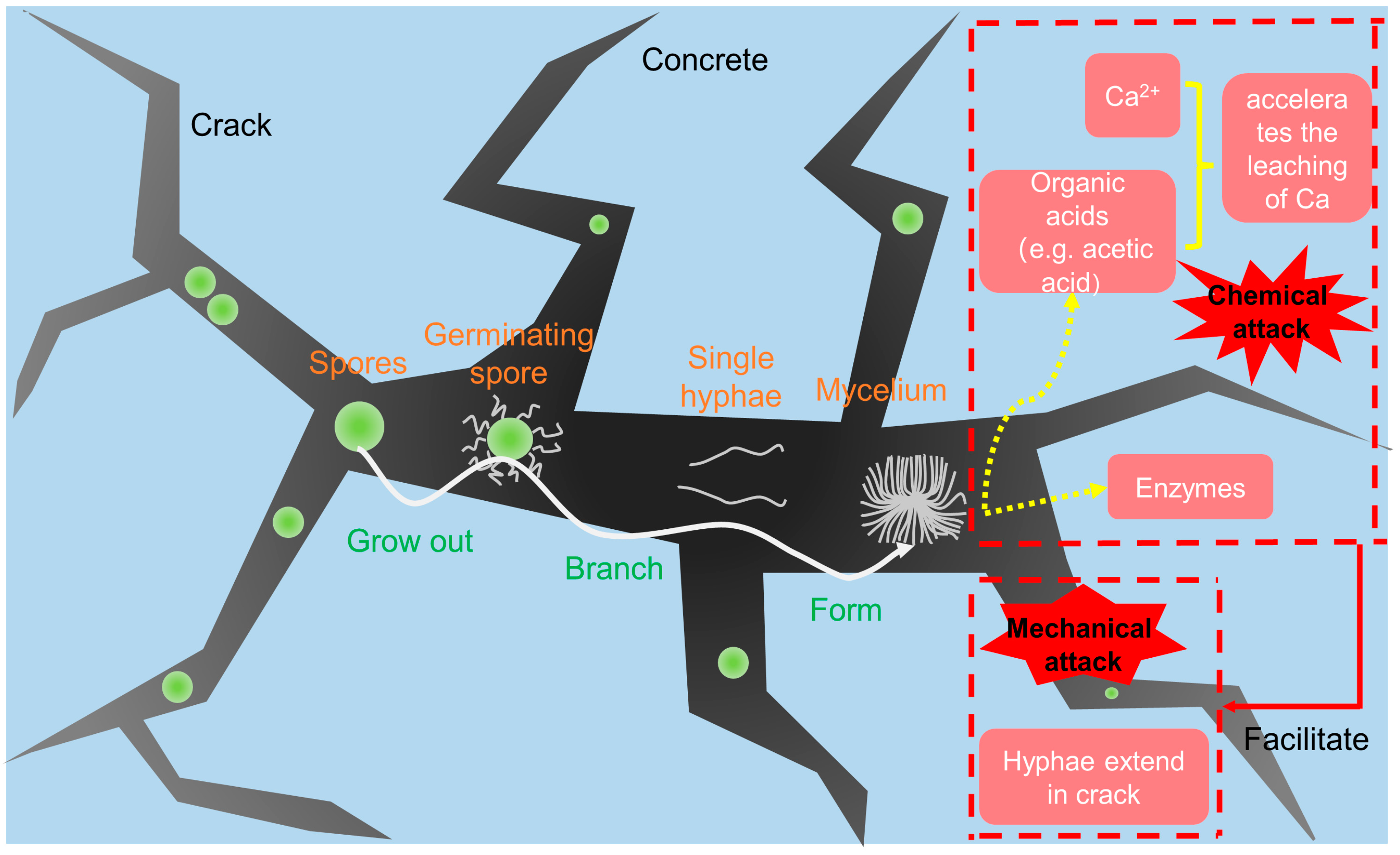 Microorganisms 11 02076 g006 Microorganisms 11 02076 g006