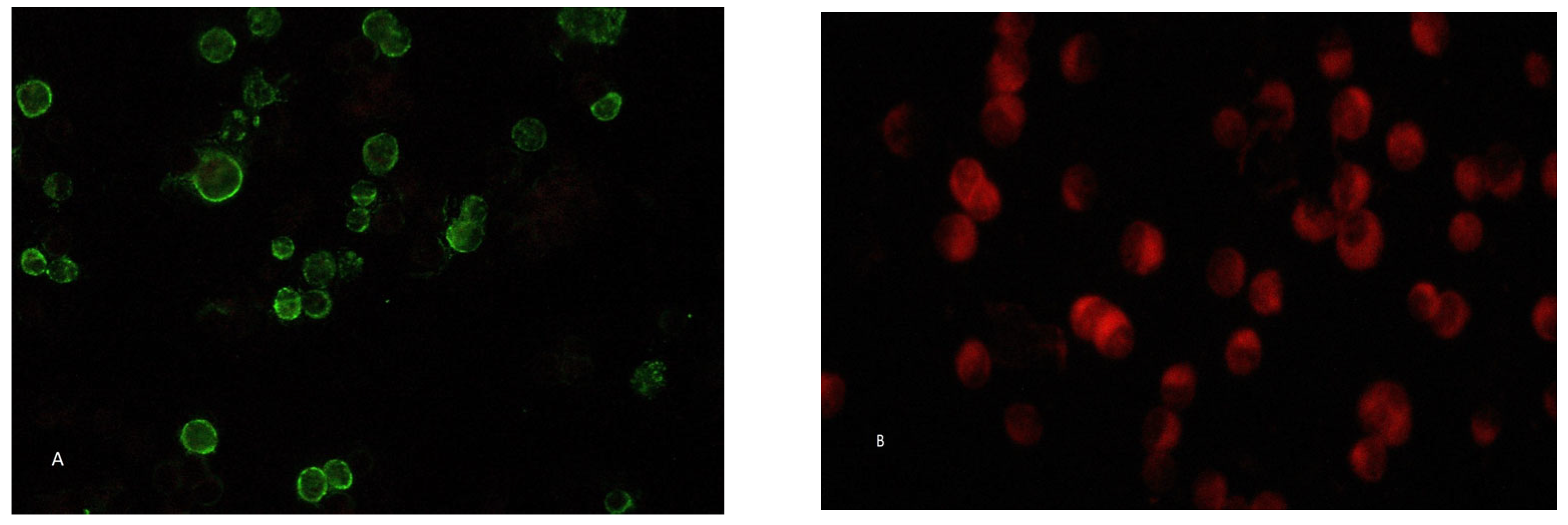 Microorganisms 11 02081 g001