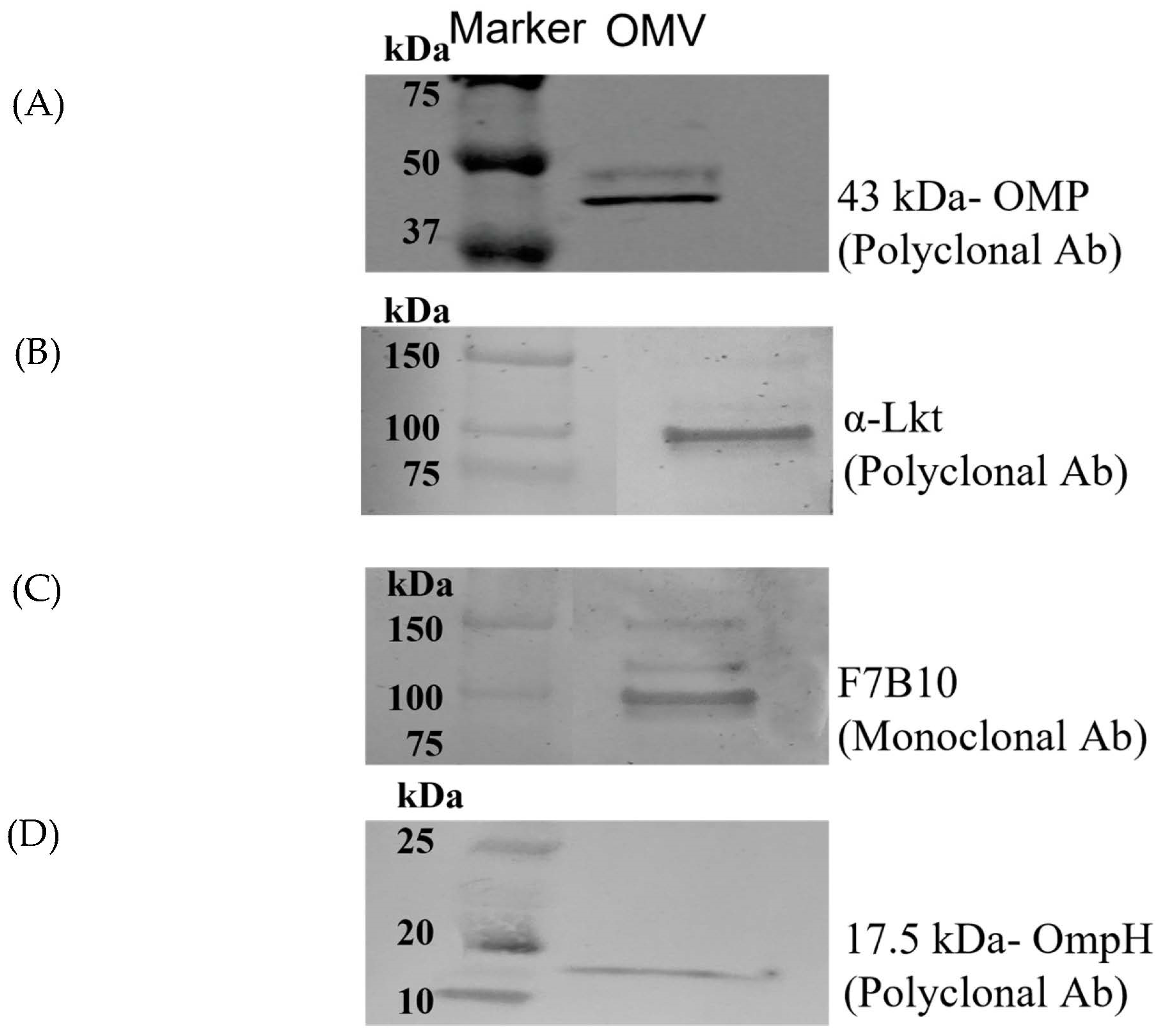Microorganisms 11 02082 g003