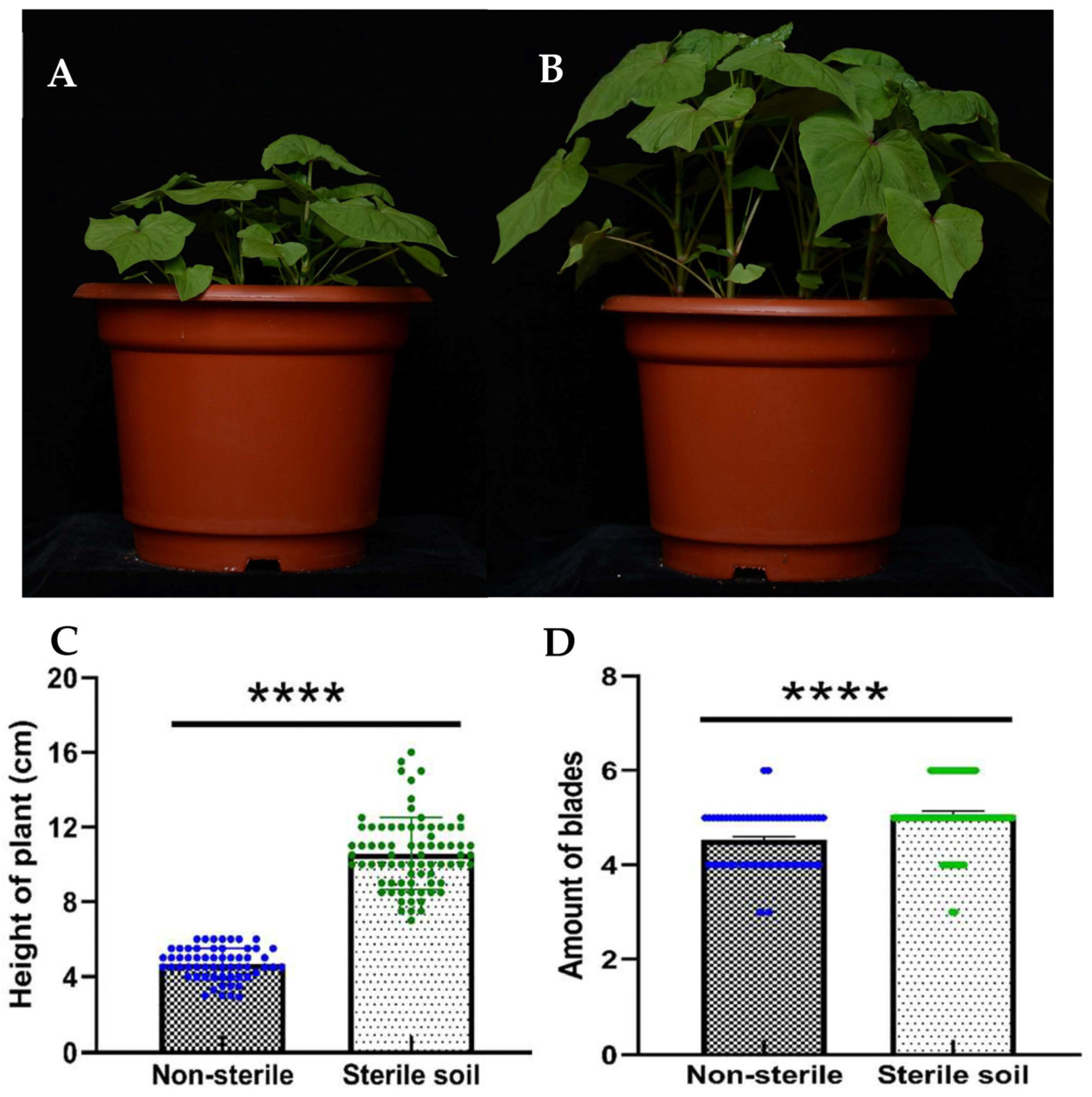 Microorganisms 11 02085 g001 Microorganisms 11 02085 g001