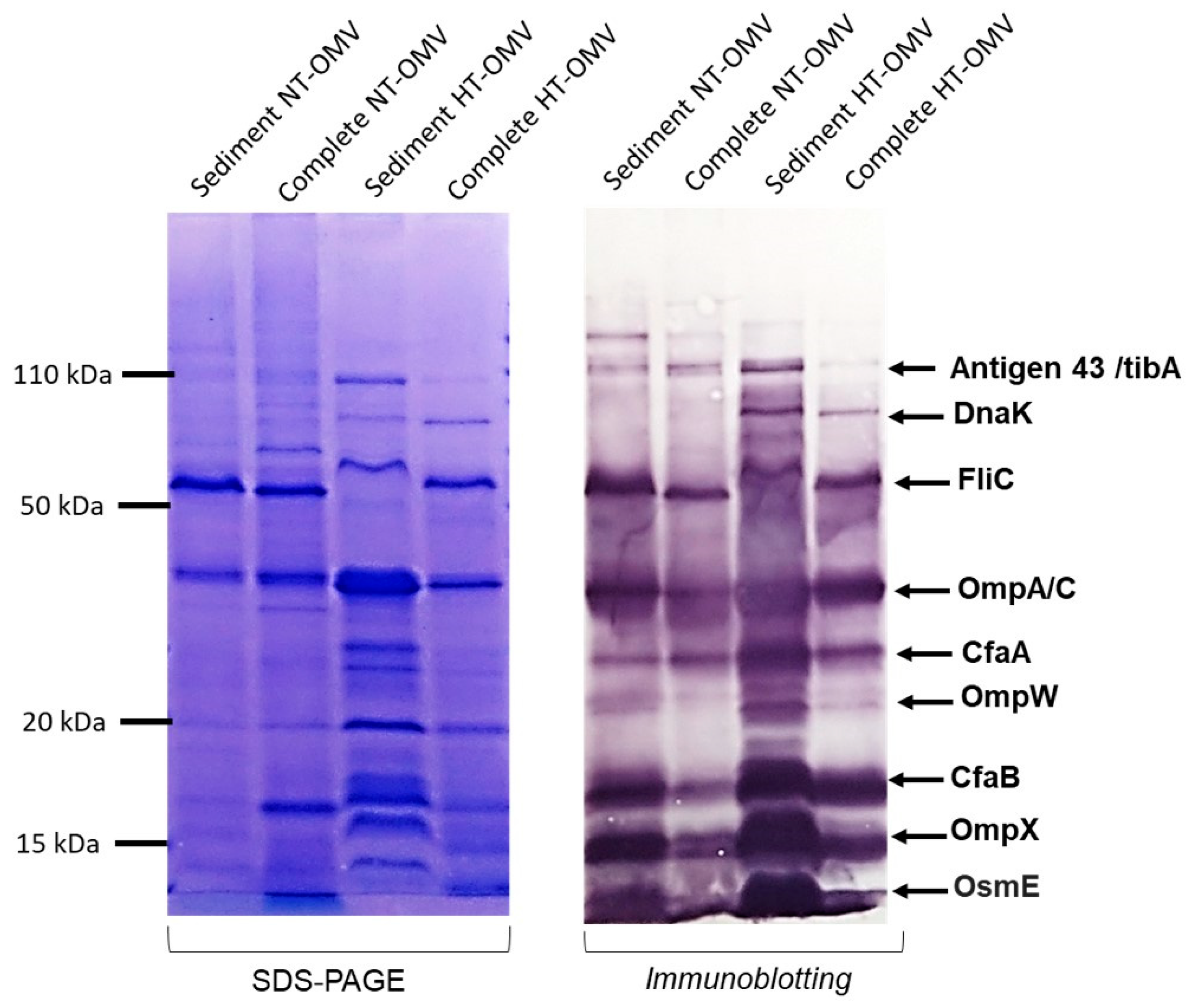 Microorganisms 11 02088 g002