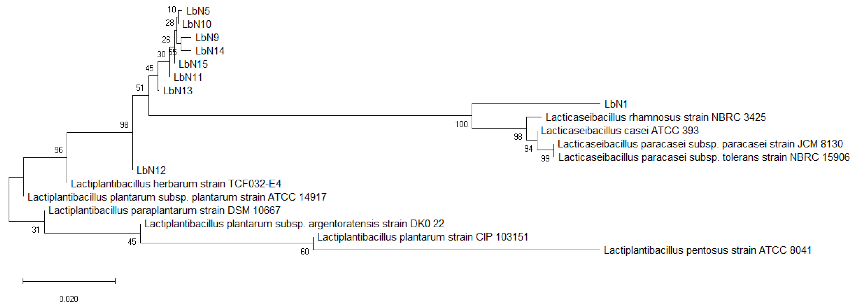Microorganisms 11 02091 g002 Microorganisms 11 02091 g002