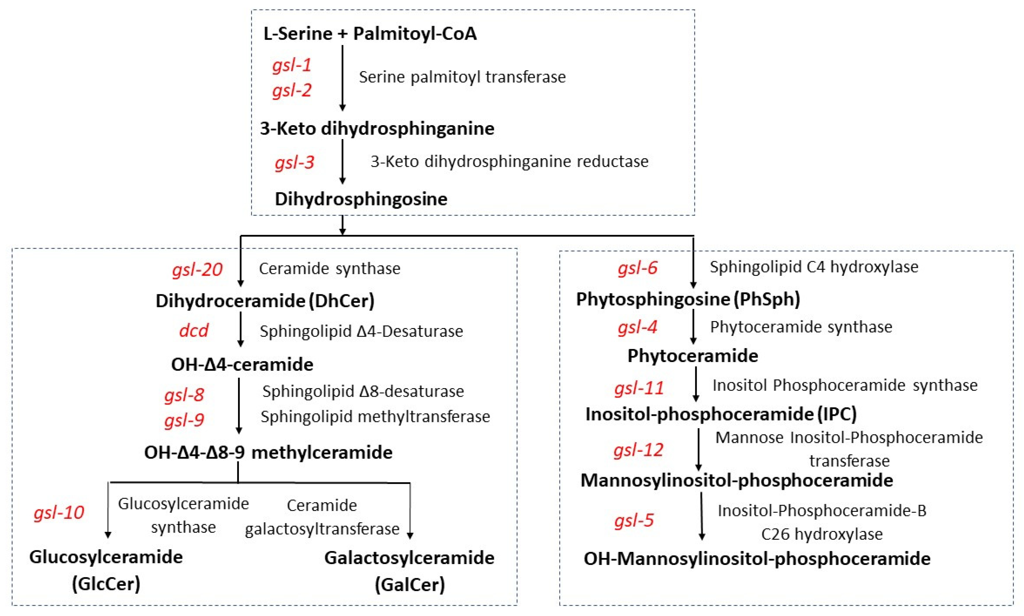 Microorganisms 11 02093 g001 Microorganisms 11 02093 g001