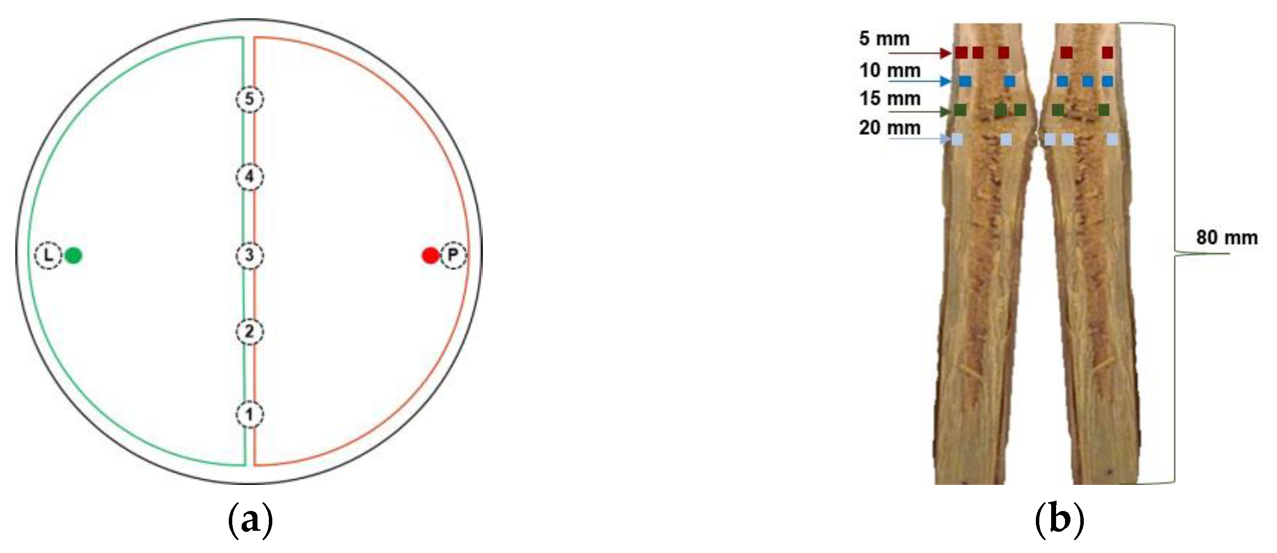 Microorganisms 11 02099 g002