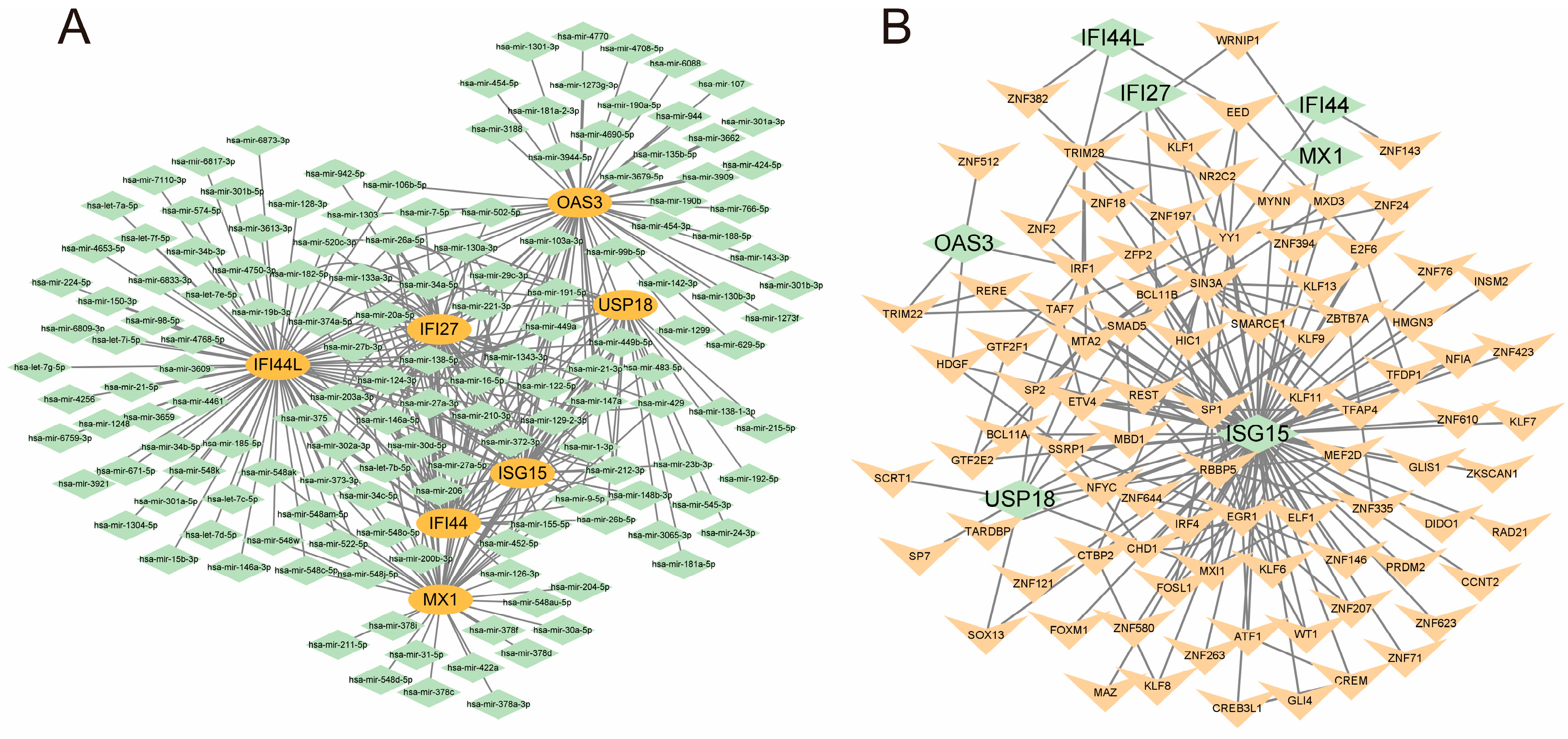 Microorganisms 11 02101 g007