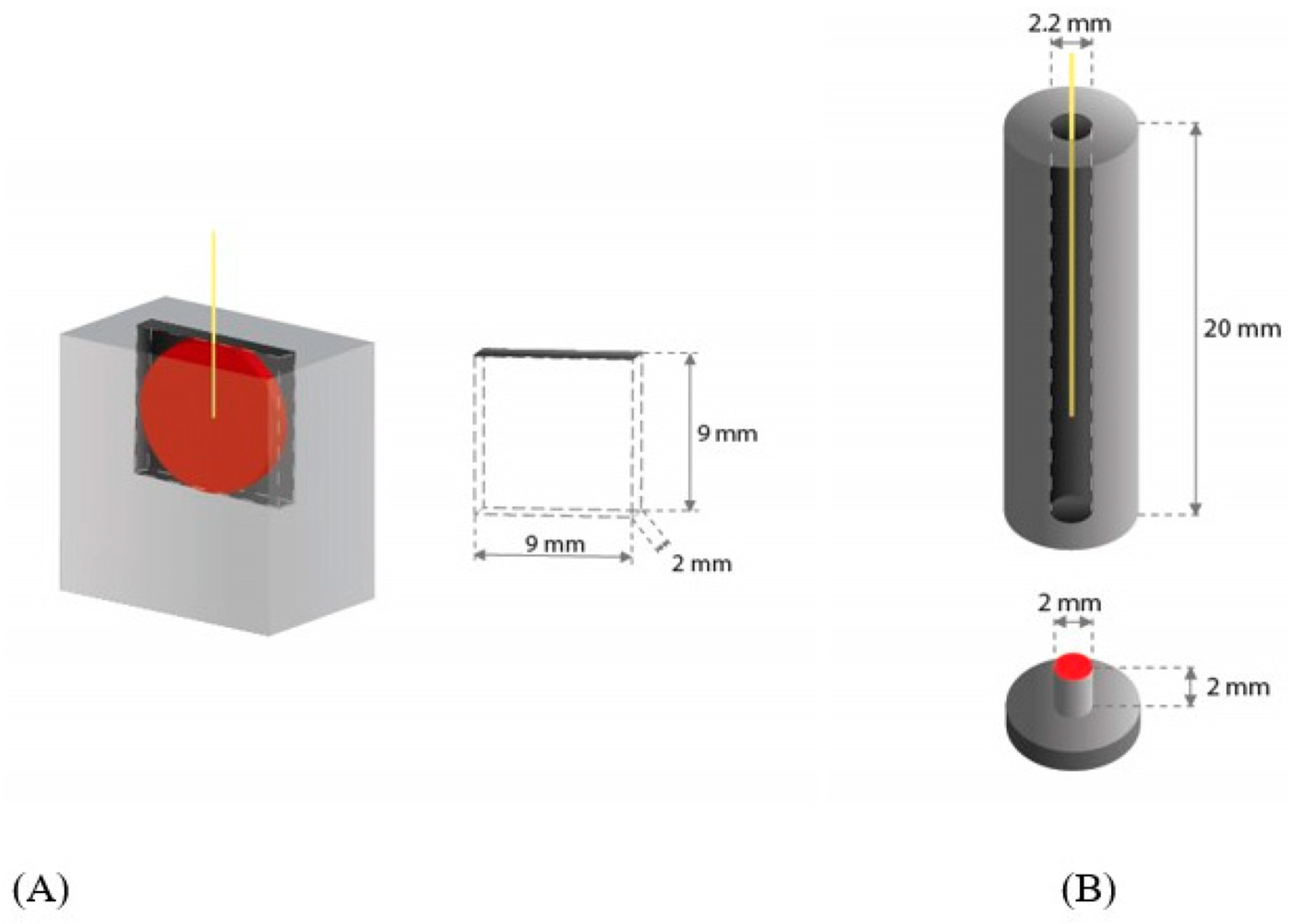 Microorganisms 11 02102 g001 Microorganisms 11 02102 g001