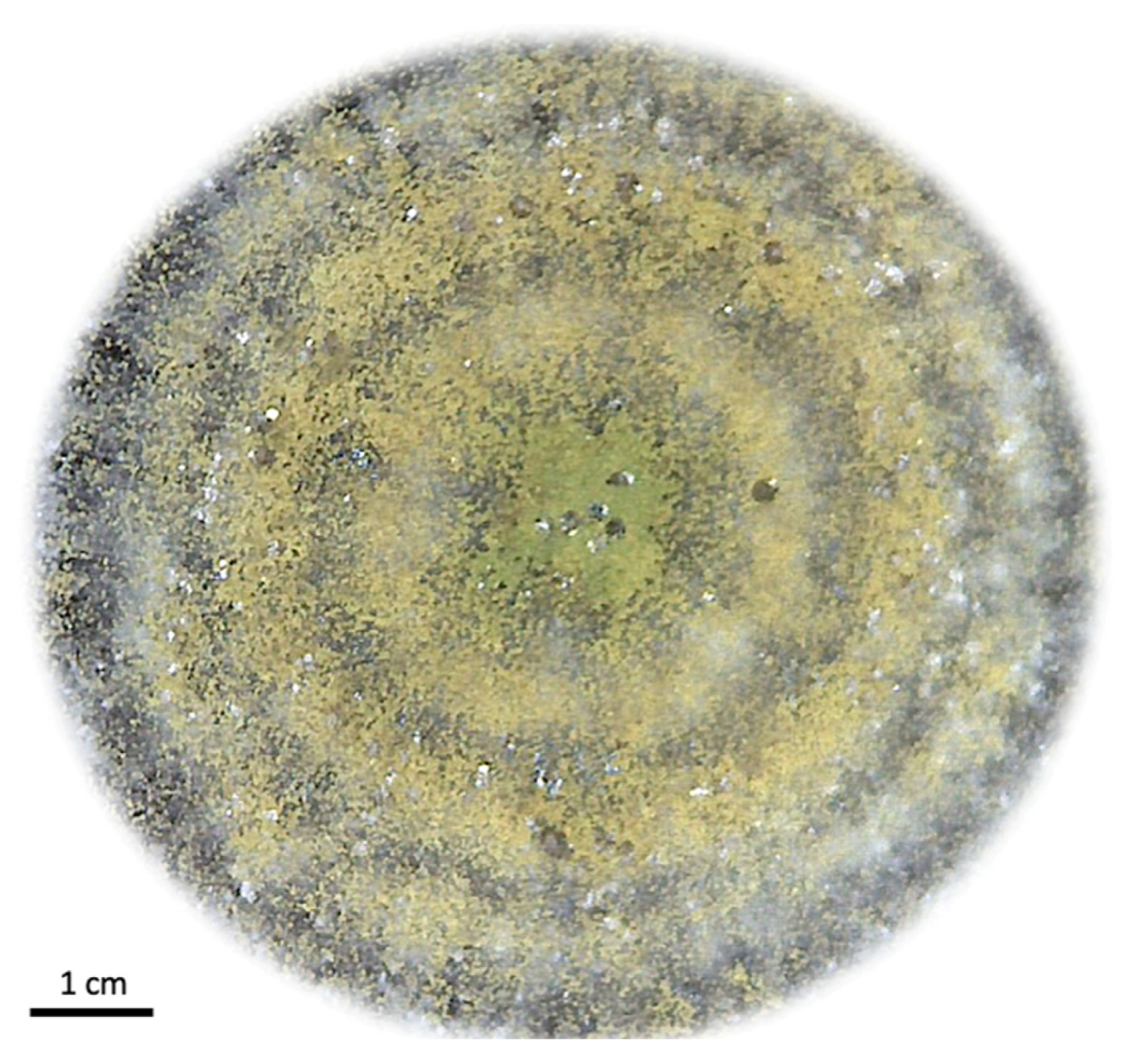 Microorganisms 11 02107 g002 Microorganisms 11 02107 g002
