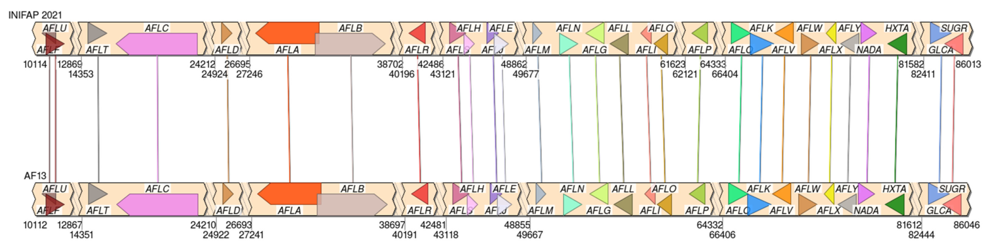 Microorganisms 11 02107 g003 Microorganisms 11 02107 g003