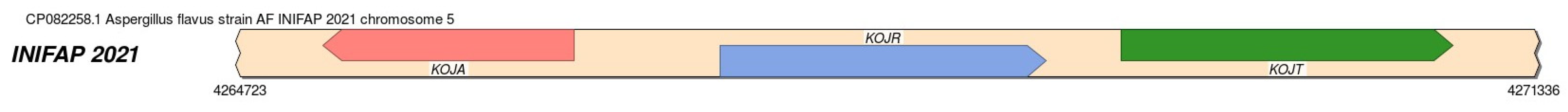 Microorganisms 11 02107 g005 Microorganisms 11 02107 g005