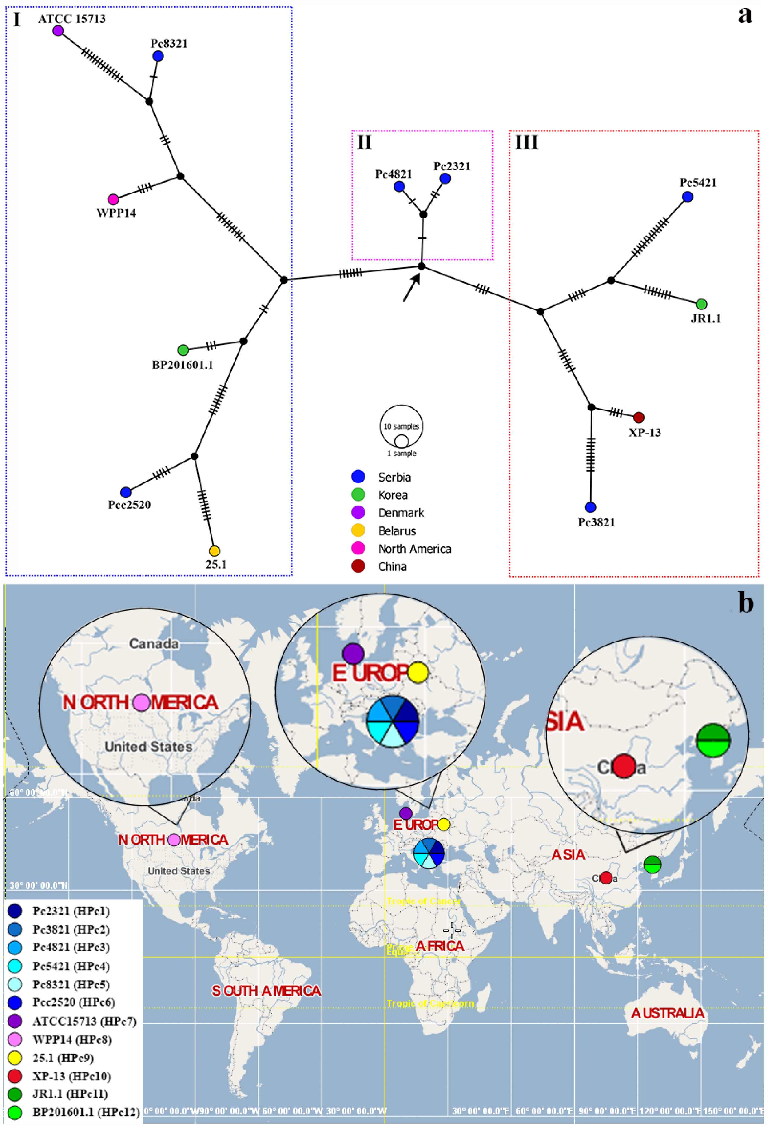 Microorganisms 11 02122 g001