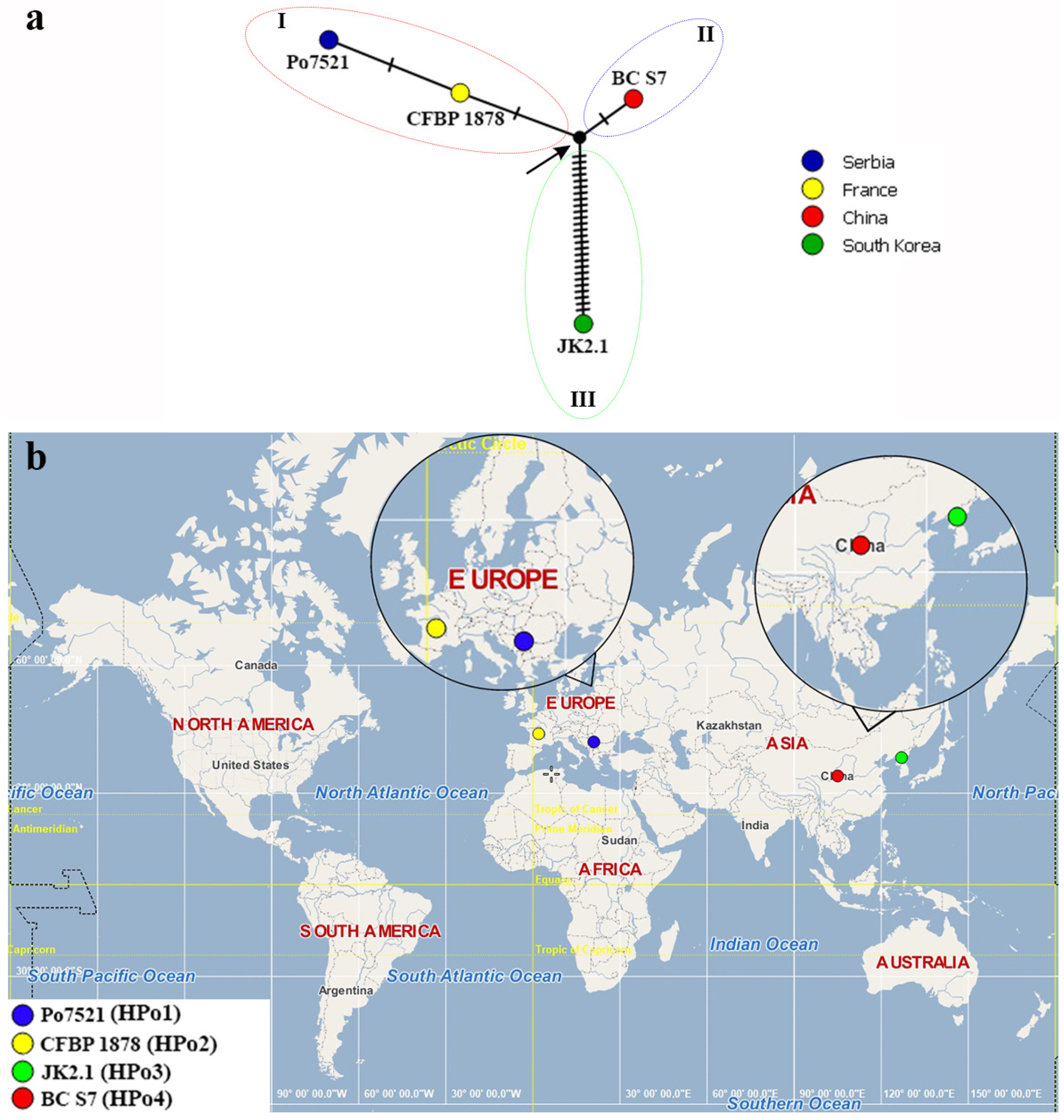 Microorganisms 11 02122 g003