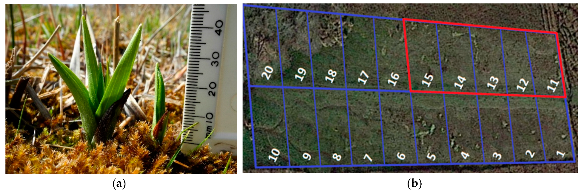 Microorganisms 11 02124 g001