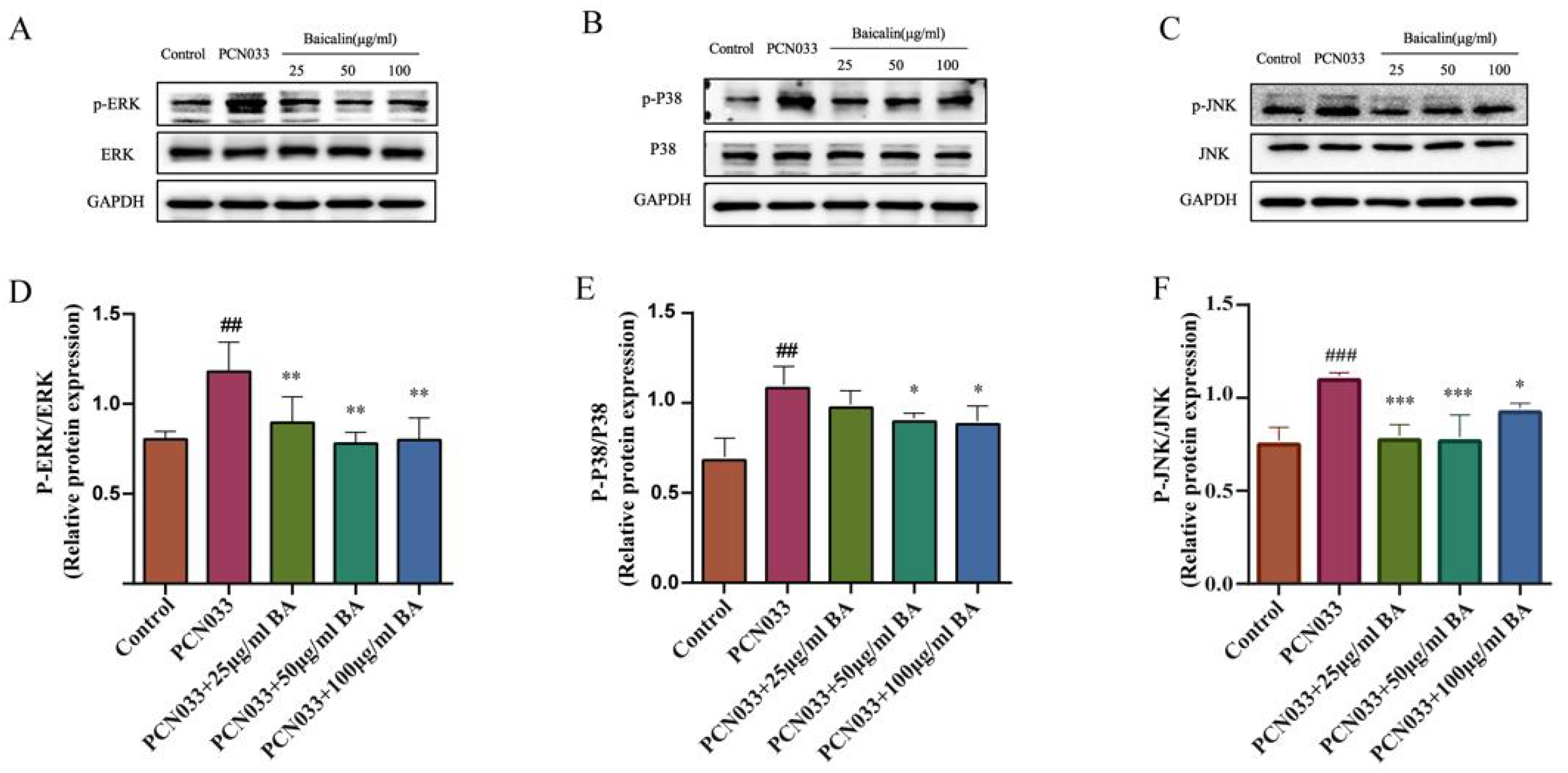 Microorganisms 11 02126 g009 Microorganisms 11 02126 g009