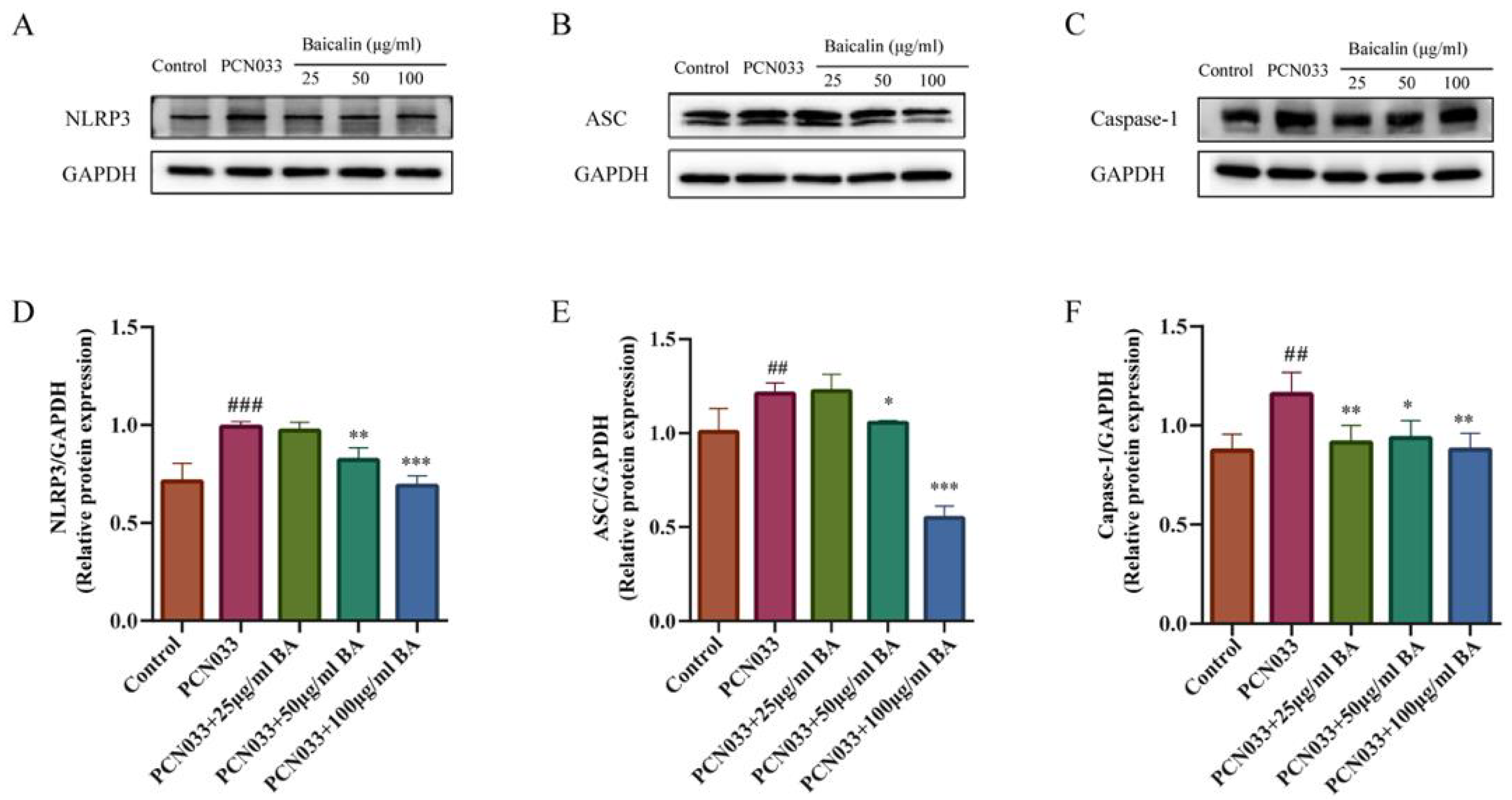 Microorganisms 11 02126 g010 Microorganisms 11 02126 g010
