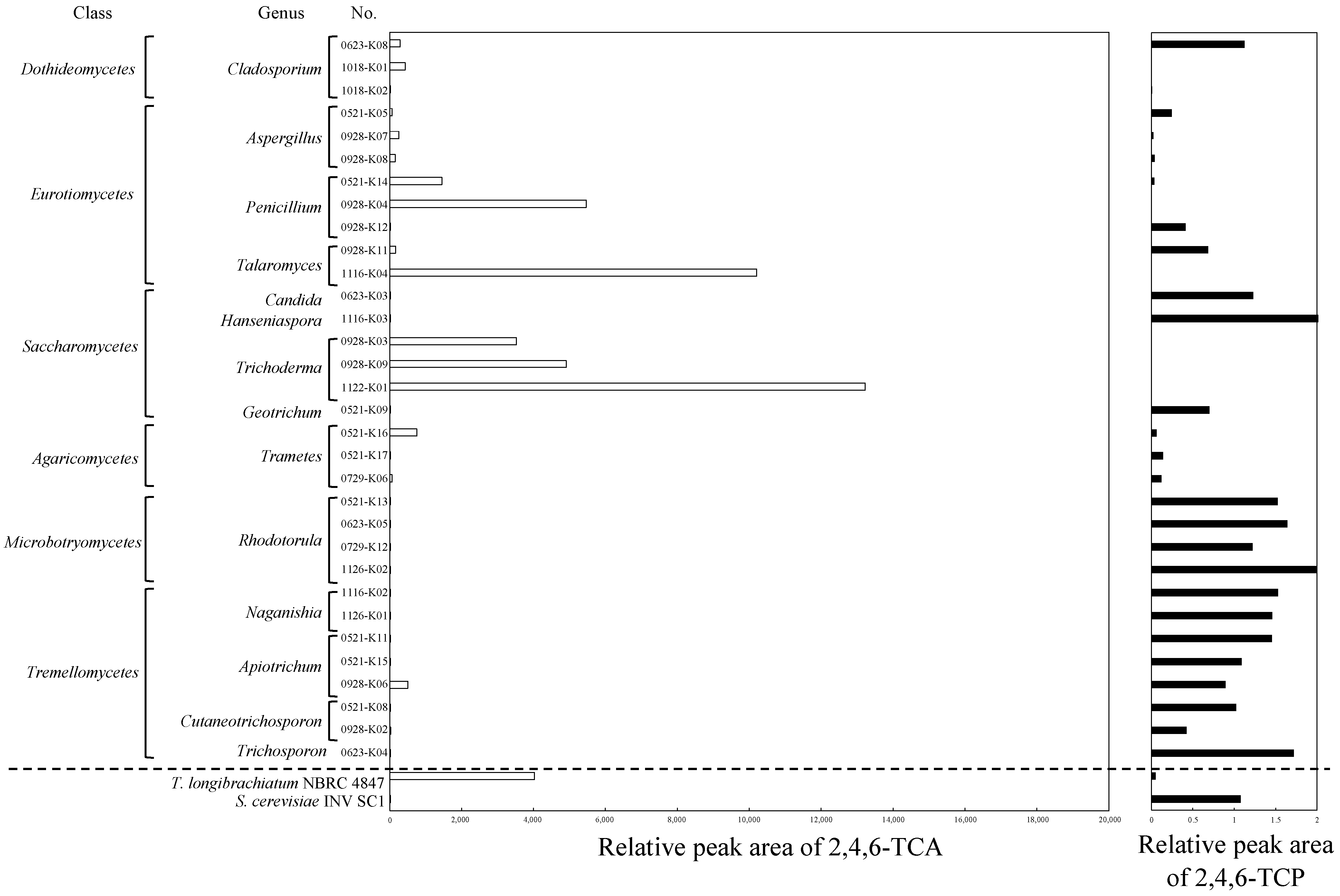 Microorganisms 11 02133 g001